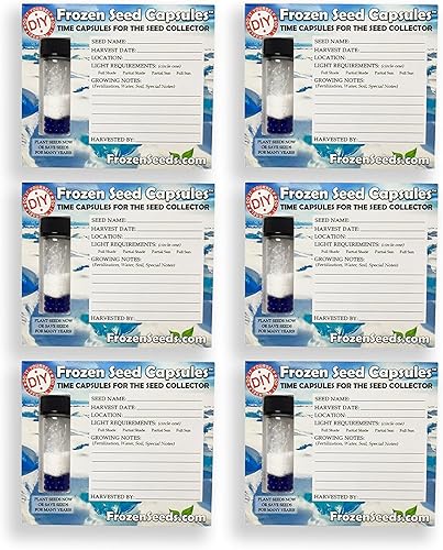 Paquete de 6 cápsulas de almacenamiento de semillas pequeñas "Do-It-Yourself", ideal para semillas pequeñas, lo mejor en almacenamiento adecuado de
