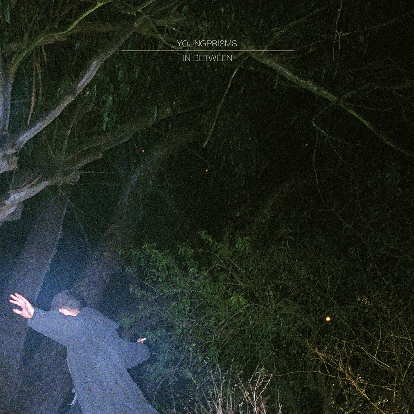 IN BETWEEN (10 YEAR ANNIVERSARY) [VINYL]