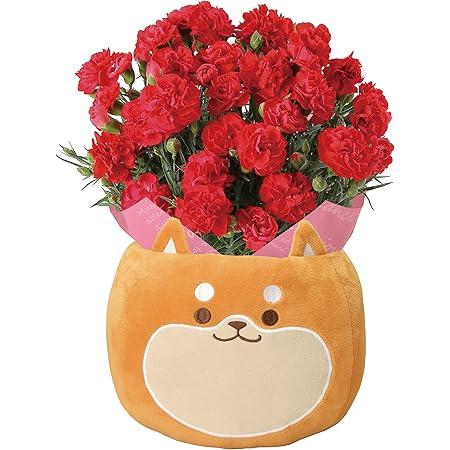 Amazon 花のギフト社 母の日 カーネーション 鉢花 花鉢 鉢植え プレゼント 花 鉢 フラワーギフト 5号鉢 花 観葉植物 フラワーギフト オンライン通販 Amazon 花のギフト社 母の日 カーネーション 鉢花 花鉢 鉢植え プレゼント 花 鉢 フラワーギフト 5号鉢 花 観葉植物 フラワーギフト オンライン通販