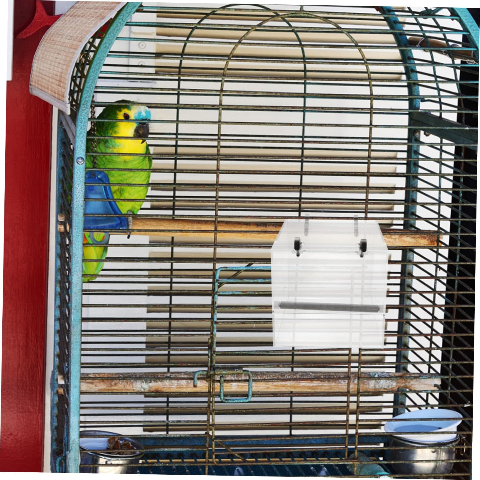 Mangeoire à Oiseaux Automatique pour Perroquet, Installation Facile