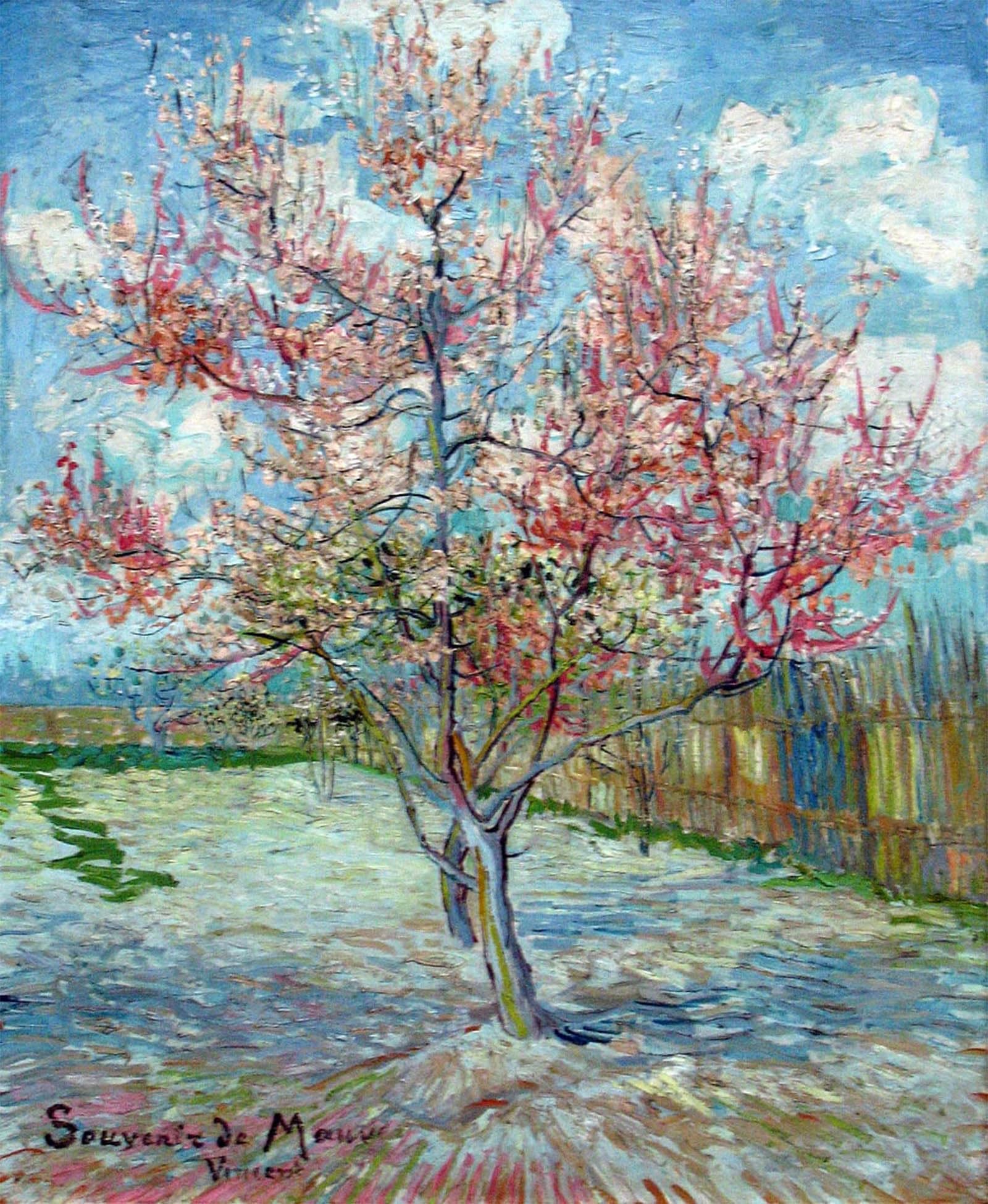 Affiches Vincent Van Gogh 60x90cm pour Rénover un Mur Blanc sans Peinture