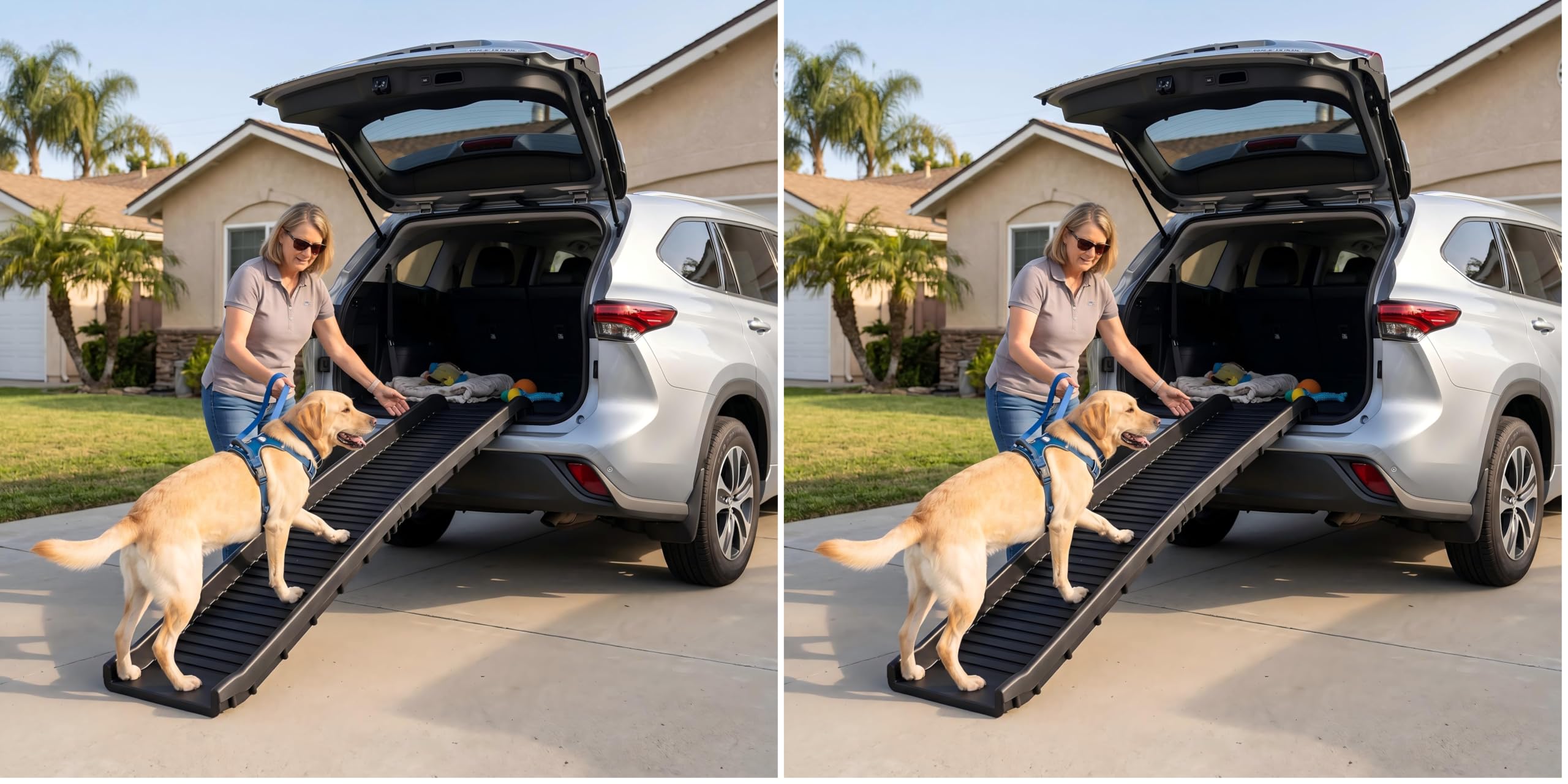 MaxWorks 50524 61" Portable Folding Pet Ramp, Black (Pack of 2)
