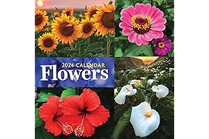 2024 Flowers Wall Calendar: Vertical Monthly Wall Calendar Enlivened with Nature's Elegance