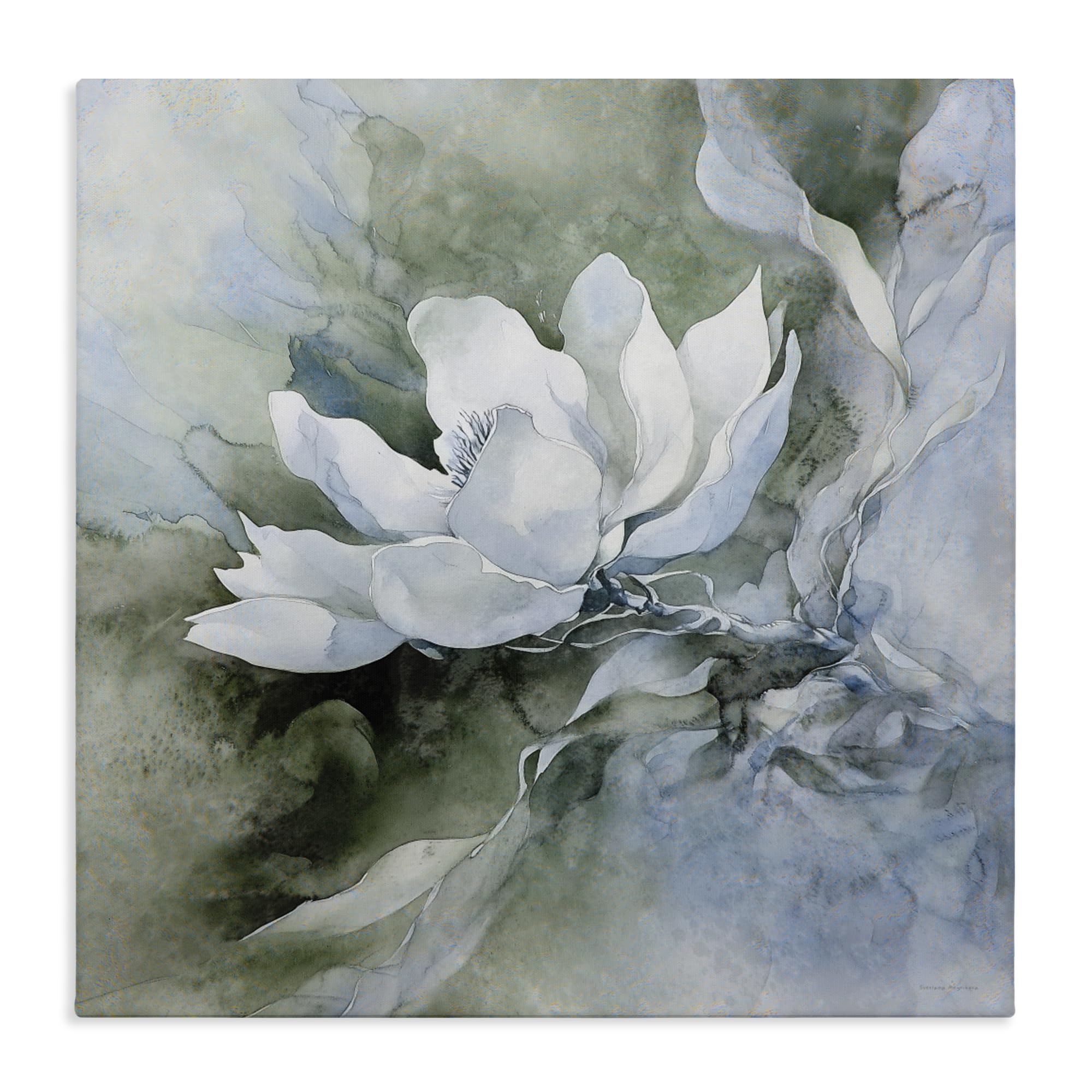 Stupell Industries Lotus Bloom Serenity Fluid Whimsical Floral Botanical, 17 X 17 Inch Canvas Wall Art