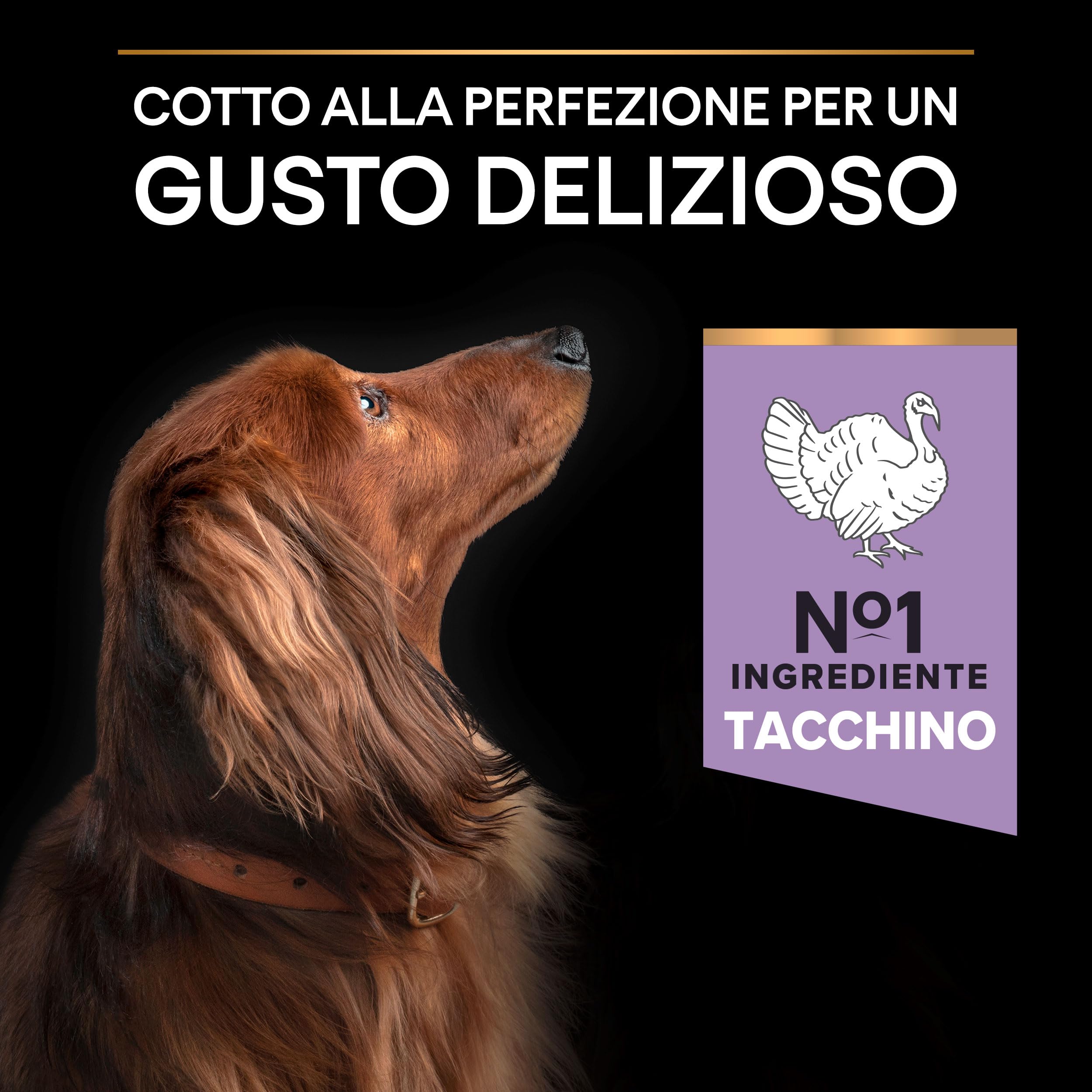 Purina Pro Plan Small e Mini Adult Optidigest Grain Free Cane Crocchette, 4 Sacchi da 2.5 kg