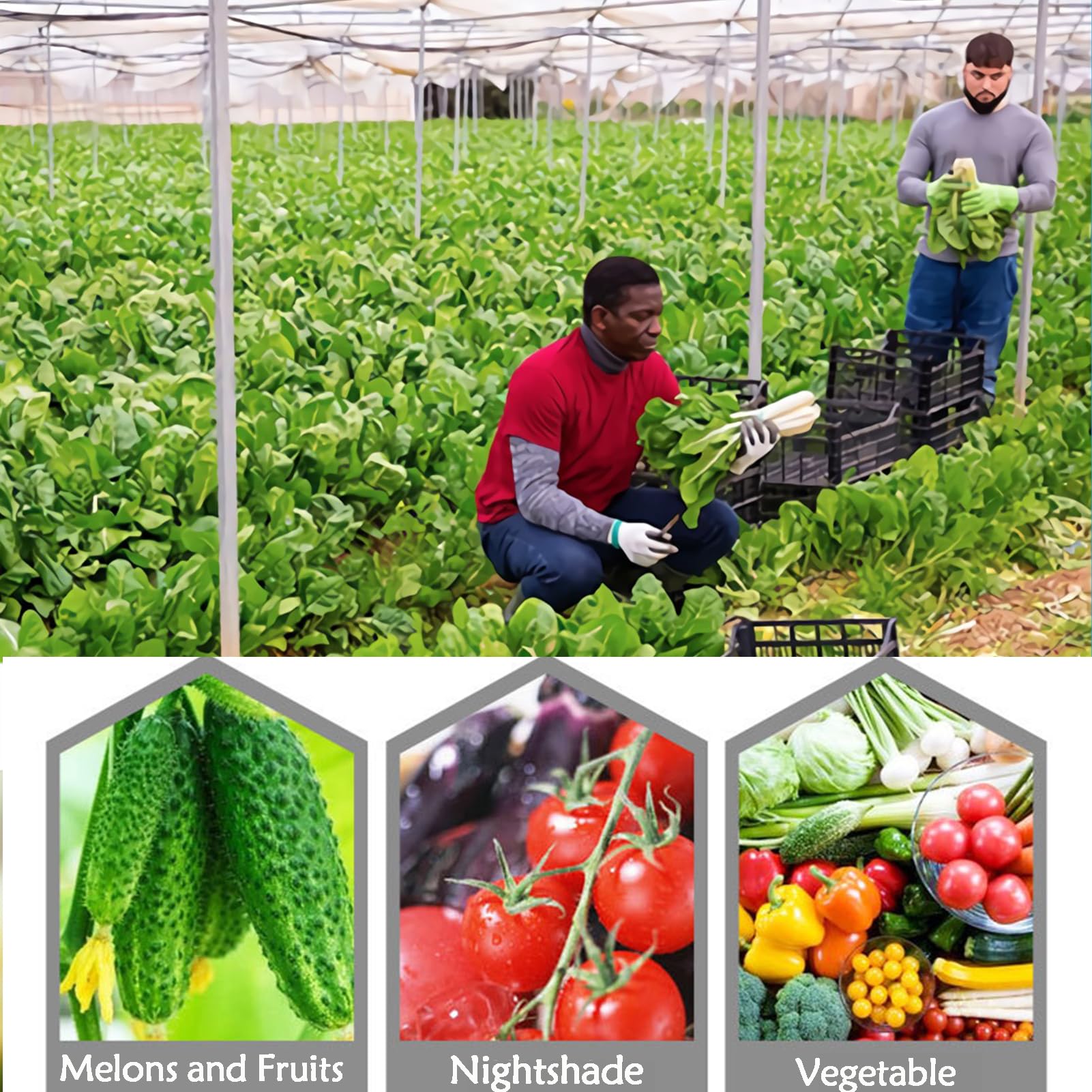 Red antipájaros, malla fina, protección para frutas, verduras, flores y cultivos, 4 x 8 m, red de jardín y control de plagas ligera y eficaz, ideal para invernaderos
