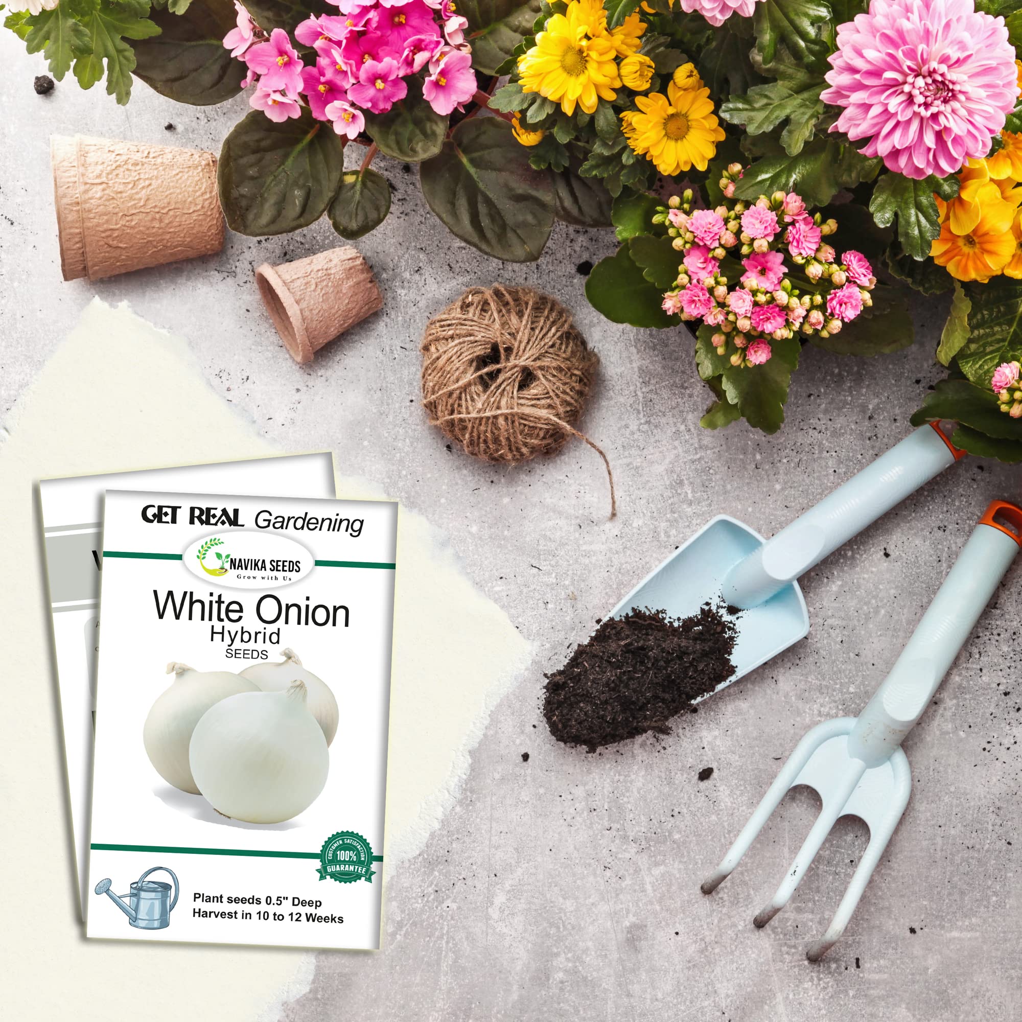 Navika Seeds ; Grow with Us White Onion Hybrid Vegetable Seeds for Gardening Free E Book for Kitchen,Backyard & Home Gardening & Planting included(Pack of 5 gram Hybrid White Onion Seeds) 3