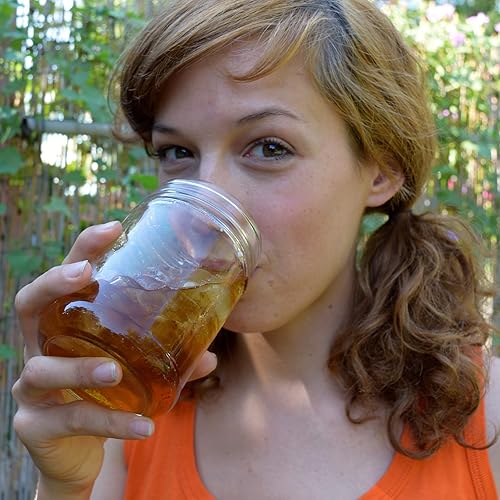 Miniatura 6 de Té Yaupon de tostado oscuro de 2 onzas (hoja suelta) - Lost Pines Yaupon Tea - Yaupon cosechado de forma sostenible y silvestre, la única planta con