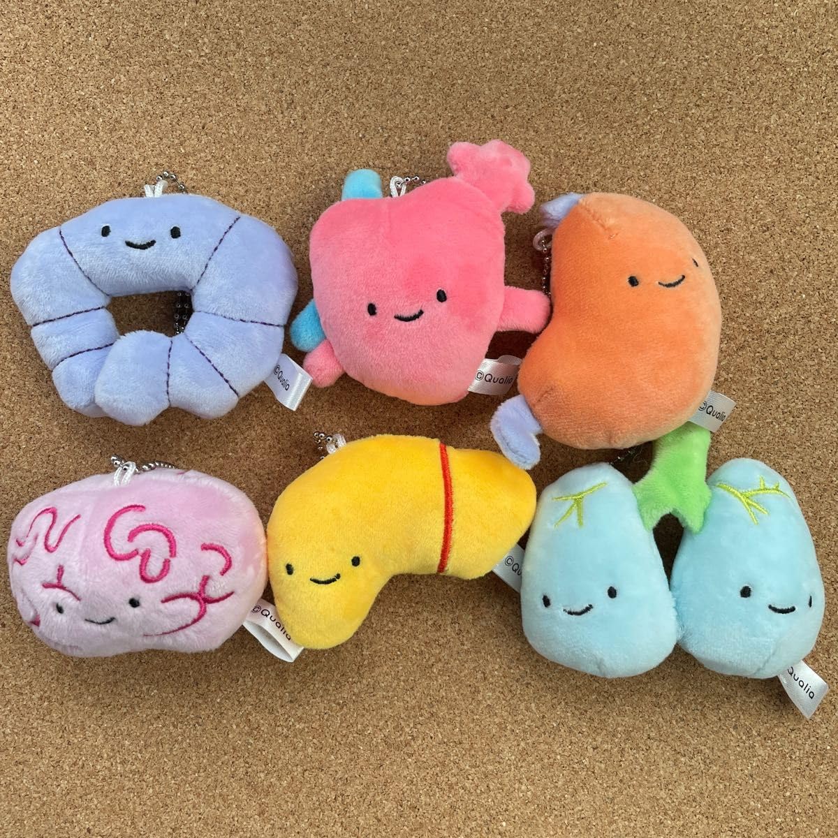 Amazon | 元気なカラダのぬいぐるみ 全6種類 クオリア ガチャ