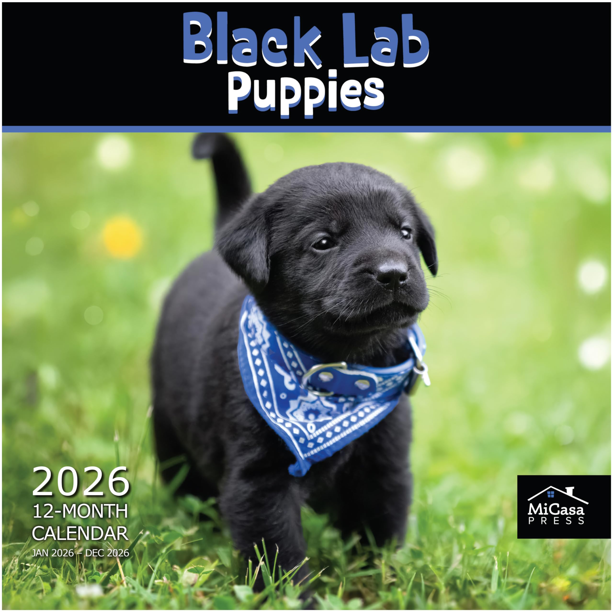 MICASA PRESS Black Lab Puppies 2026 Wall Calendar 12 Month | 12" x 24" Open | Thick &amp; Sturdy Paper | Giftable | Cute Labrador Retriever Puppy Dog Calendar 2026