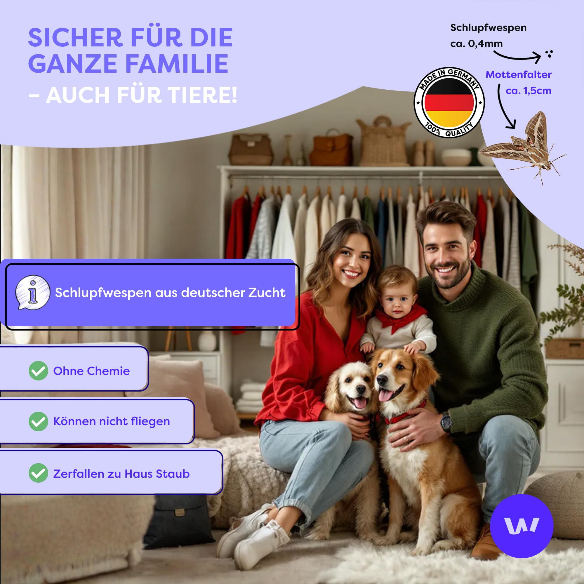 Wolkenfeld Schlupfwespen gegen Kleidermotten – 10 Karte à 1 Lieferungen – Effektive Bekämpfung von Kleider-Motten – Natürliche Alternative zu Mottenfallen, Mottenspray & Pheromonfallen
