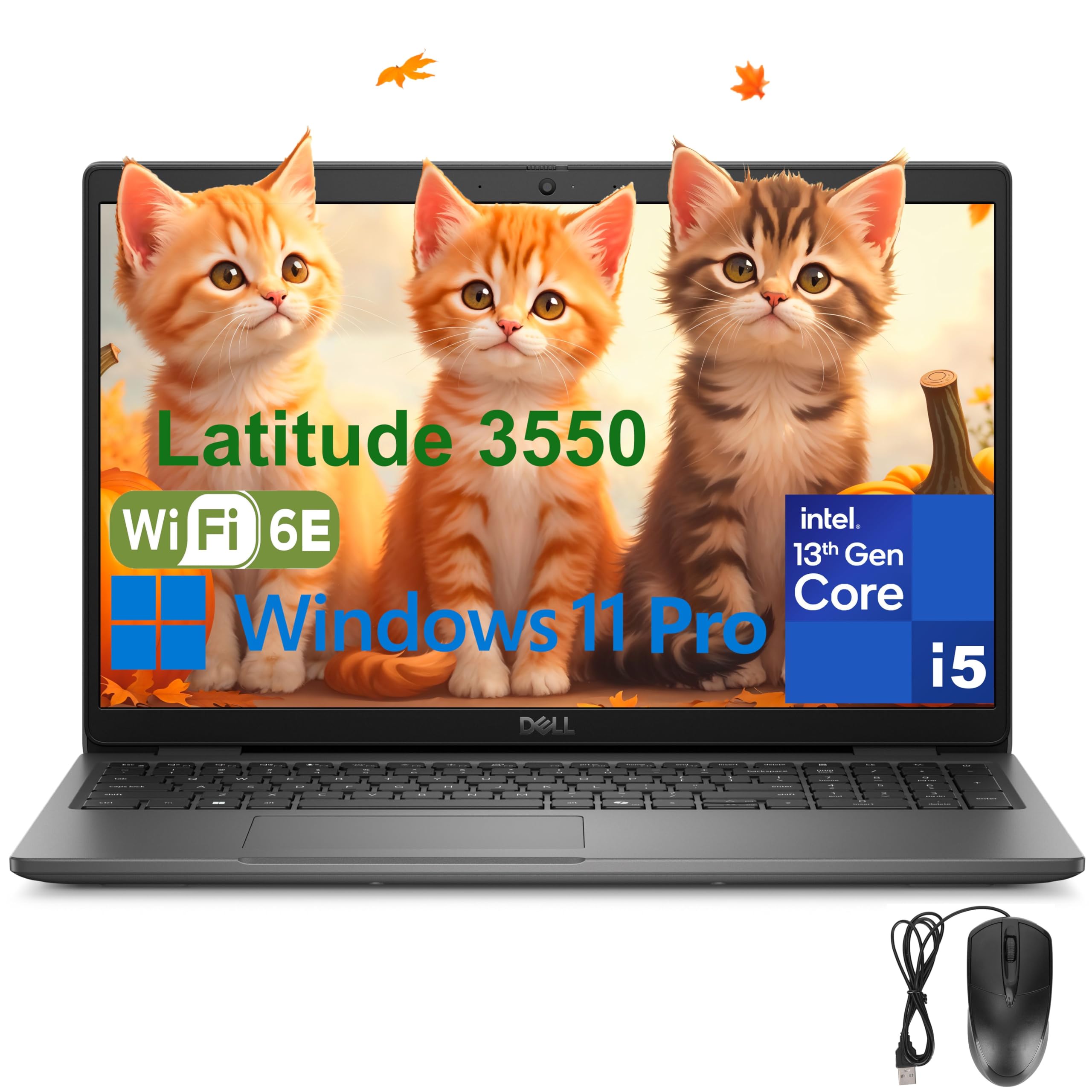 Amazon.com: Dell Latitude 3550 Laptop Computer for Business