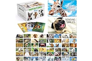 Fun Animal Motivational Quote Cards for Inspiration, Encouragement and Kindness Appreciation