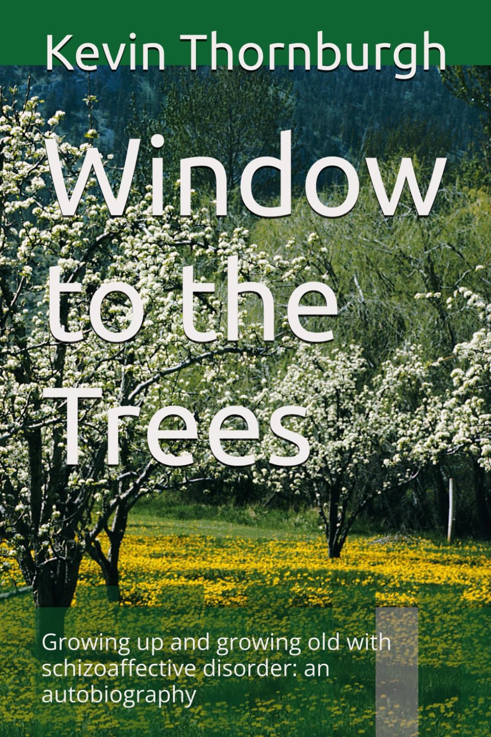 Window to the Trees: Growing up and growing old with schizoaffective disorder: an autobiography