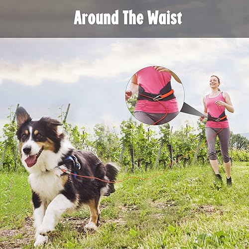 Miniatura 8 de Cable de amarre resistente de 50 pies para perros medianos y grandes, correa de perro a prueba de mordidas con mango acolchado para entrenar y