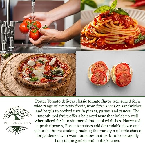 Miniatura 6 de Semillas de tomate "Porter" para plantar, más de 50 semillas de reliquia por paquete, semillas de jardín de Isla (semillas de jardín de Isla),