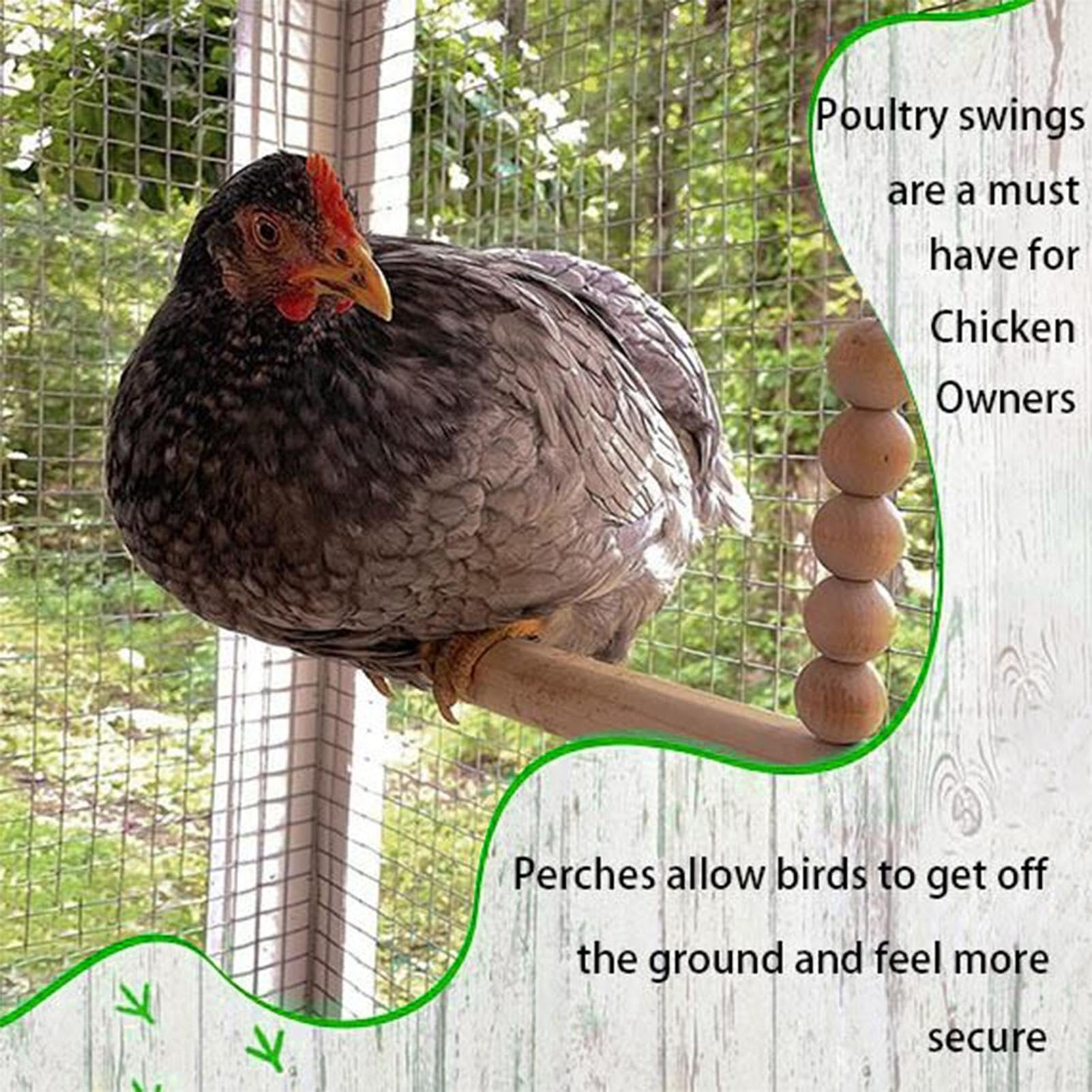 Jouet Balançoire pour Poules, en Bois Naturel pour Volailles | Perchoir Échelle Stable Sécurisé Enrichissement Jeu Repos Volaille Basse-Cour Ferme