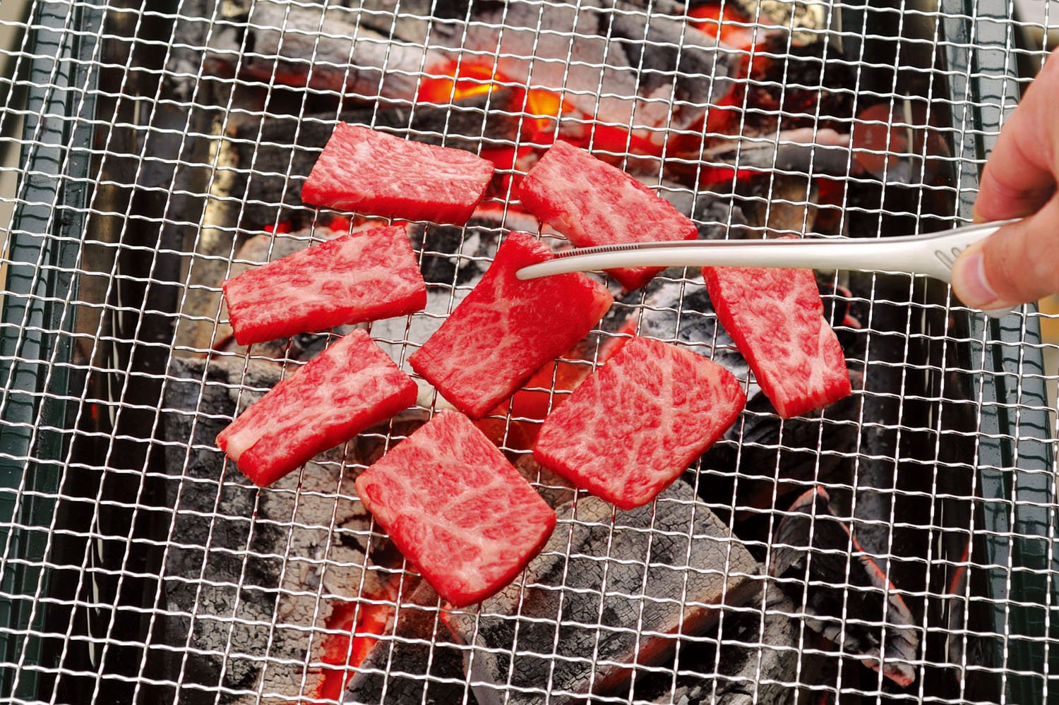 Todai 18-0 Clever Tongs, Economy Type, Set of 20, Yakiniku, Pasta, Camping, Barbecue, Made in Japan