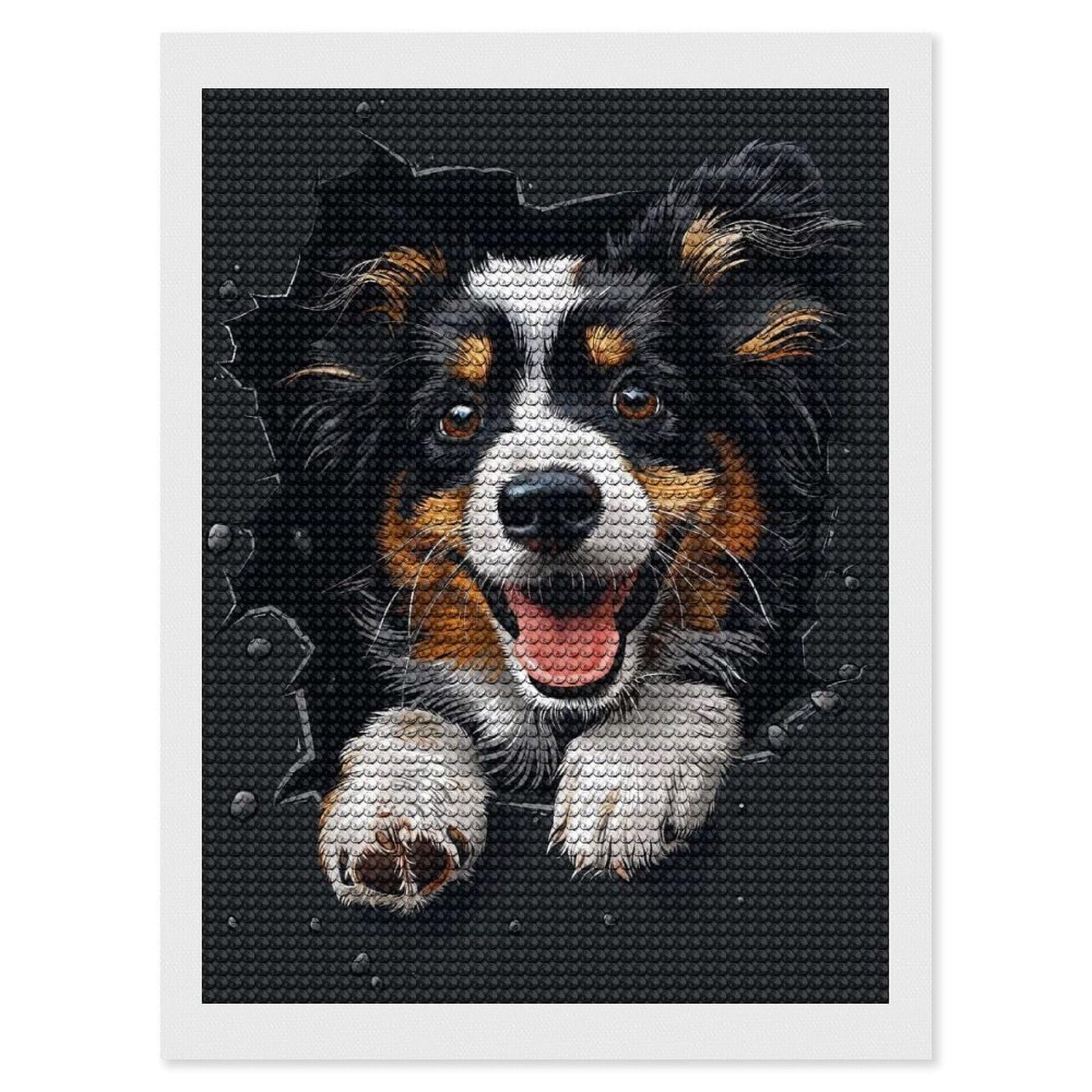 Junmoney Shetland Sheepdog Round Drill Diamond Painting 12"x16", Satisfying Creative Project, Complete Accessories, Printed Canvas