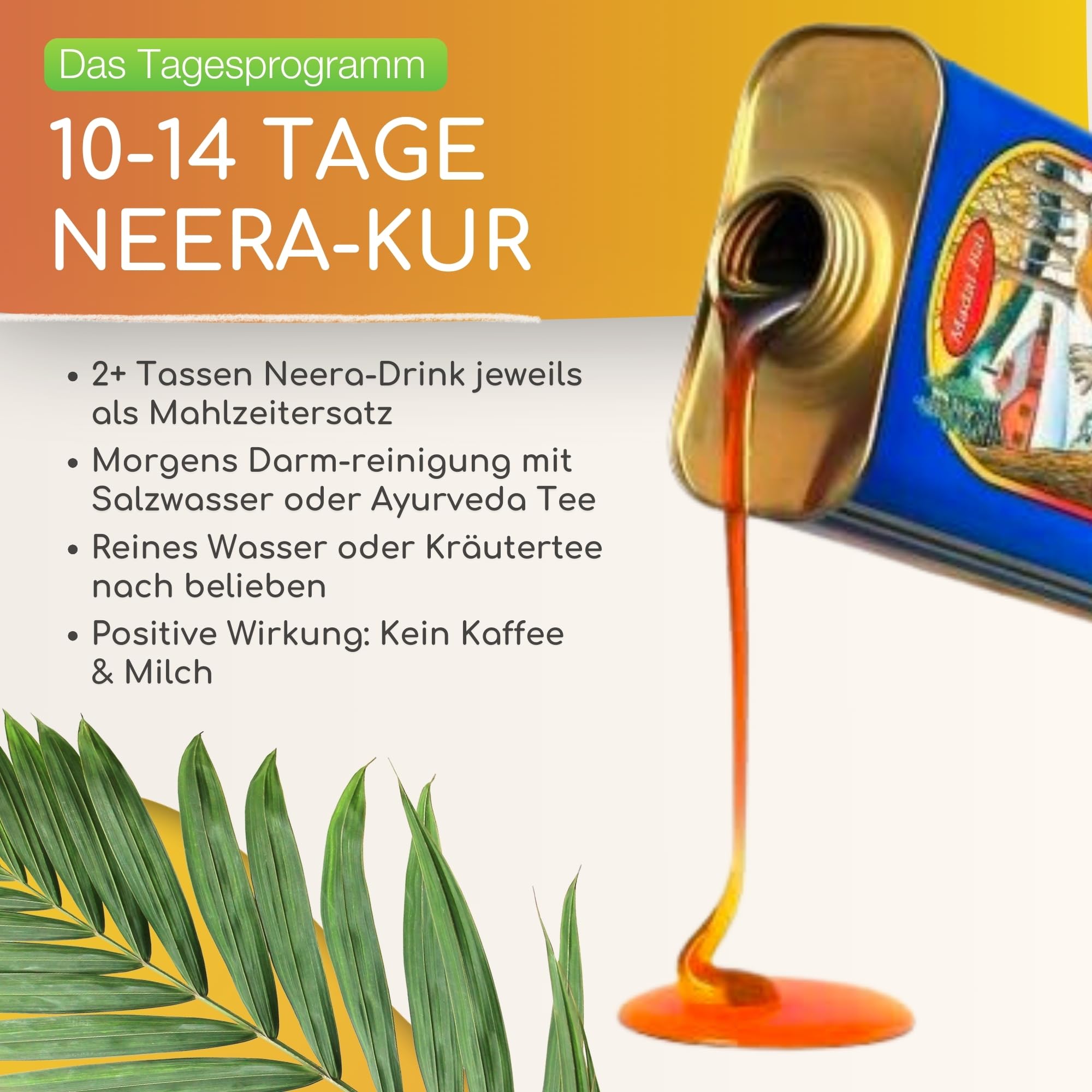 Neera Zitronensaftkur I 2 x 1L Baumsirup + Cayenne-Pfeffer + Salz + Ayurveda Tee I Nahrungsersatz für 10-14 Tage Fastenkur inkl. Anleitung I natürliches Detox-Getränk vegan & ohne Zusatzstoffe