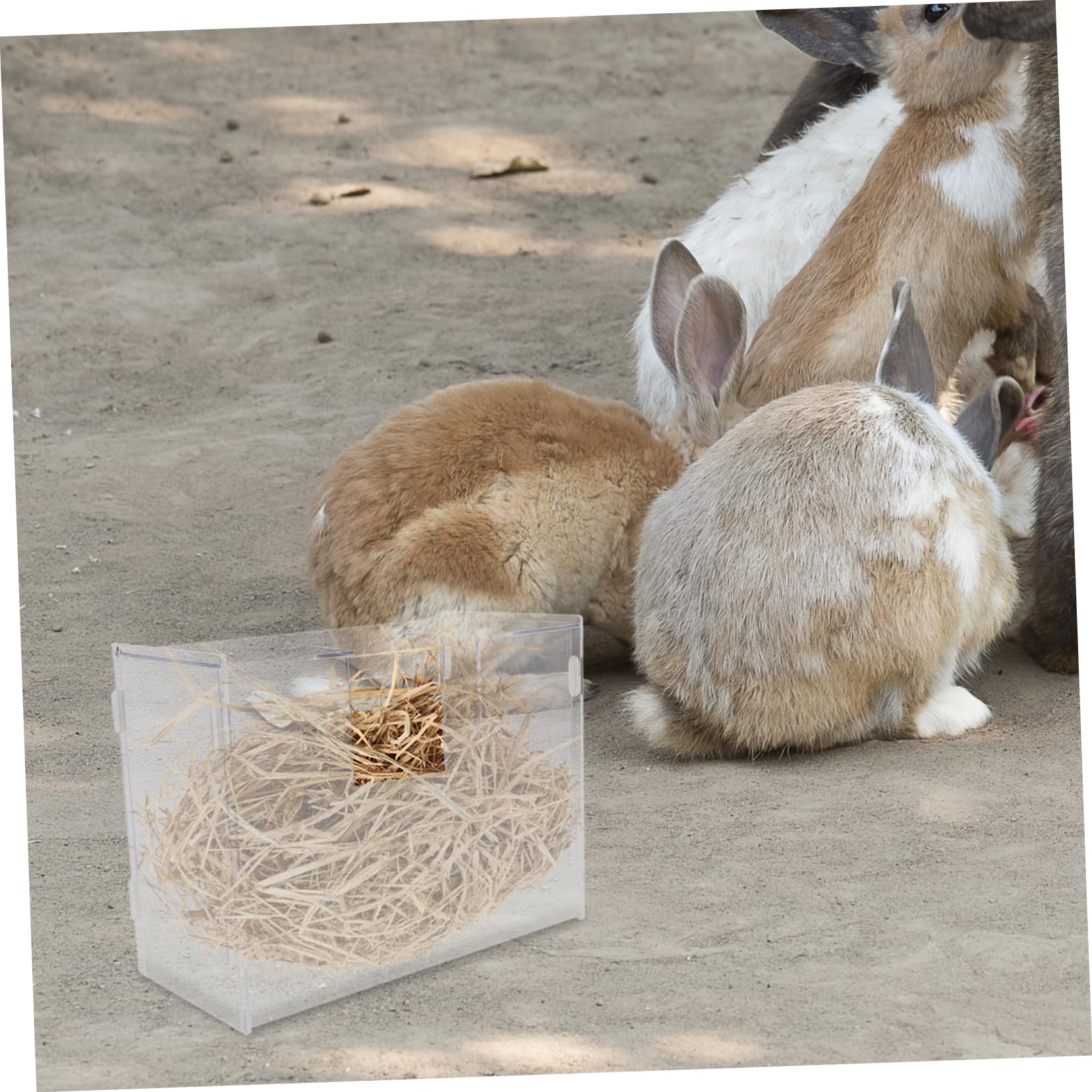 Toyvian Comedero para Conejos Acrílico Resistente Ranura para Heno Grande, Almacenamiento Espacioso, Diseño Caja de Arena Integrado, Adecuado para Cobayas y Pequeños Roedores