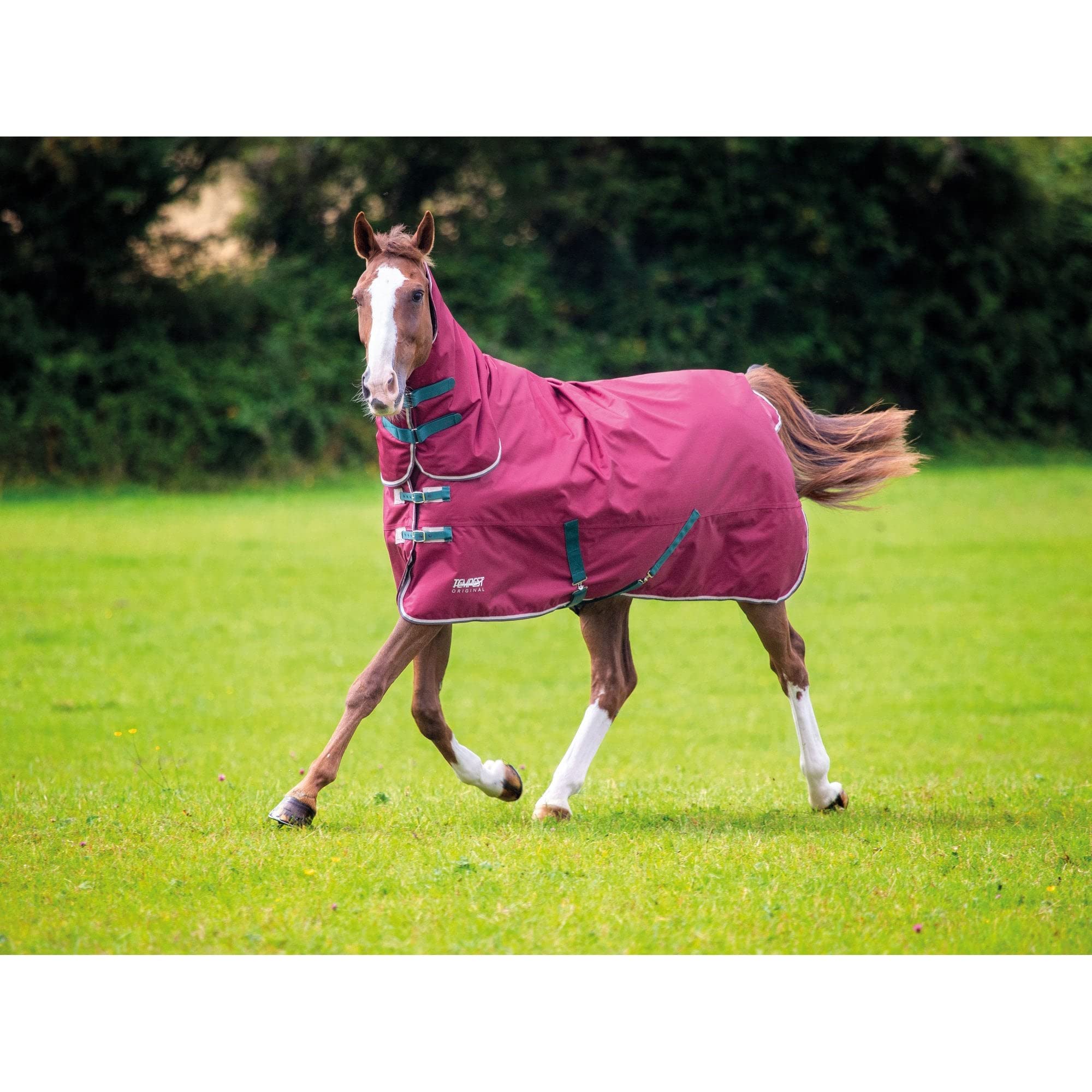 Shires Tempest Original 200 Turnout Combo Rug - Maroon 5ft3