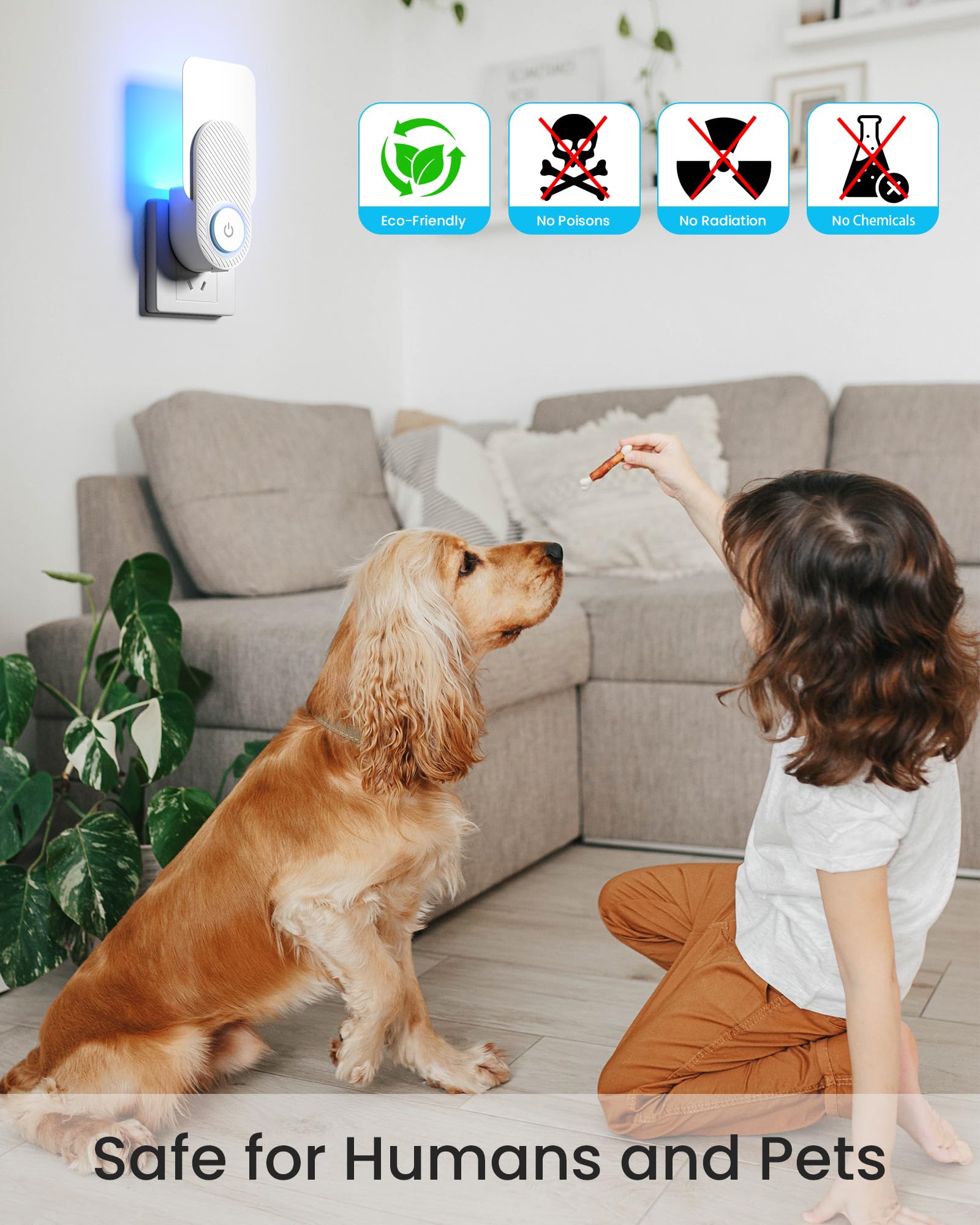 2026 Upgraded 2 Pack Plug-in Flying Insect Traps for Indoor & 10 Refill Cartridges - Fruit Fly Traps Bug Zapper with Purple UV Light Tech for Stubenfliegen, Fruchtfliegen, Mücken zur Mückenfalle (FT91