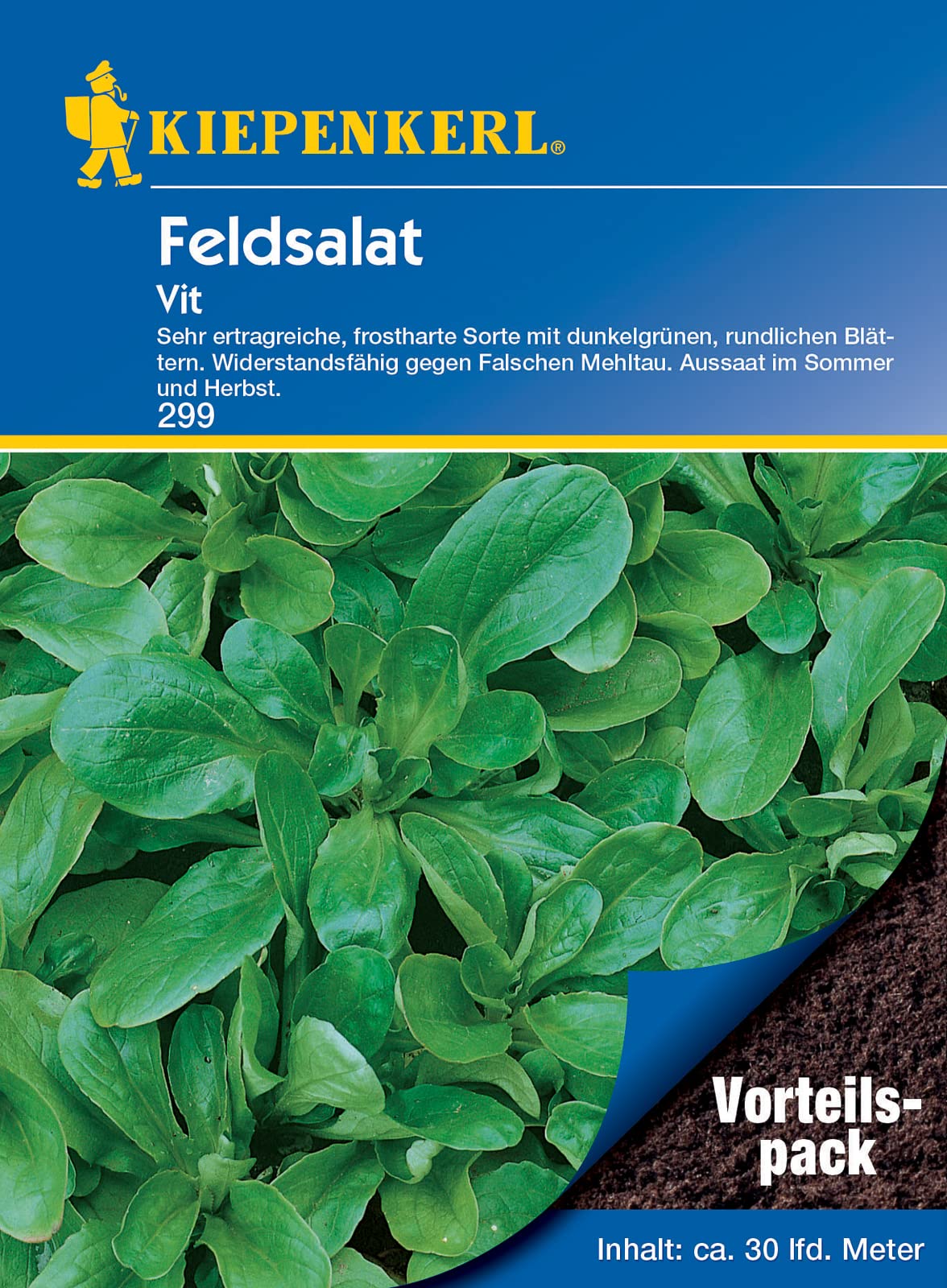 Kiepenkerl Feldsalat Vit Samen - Frostharter Salat Für Winteranbau