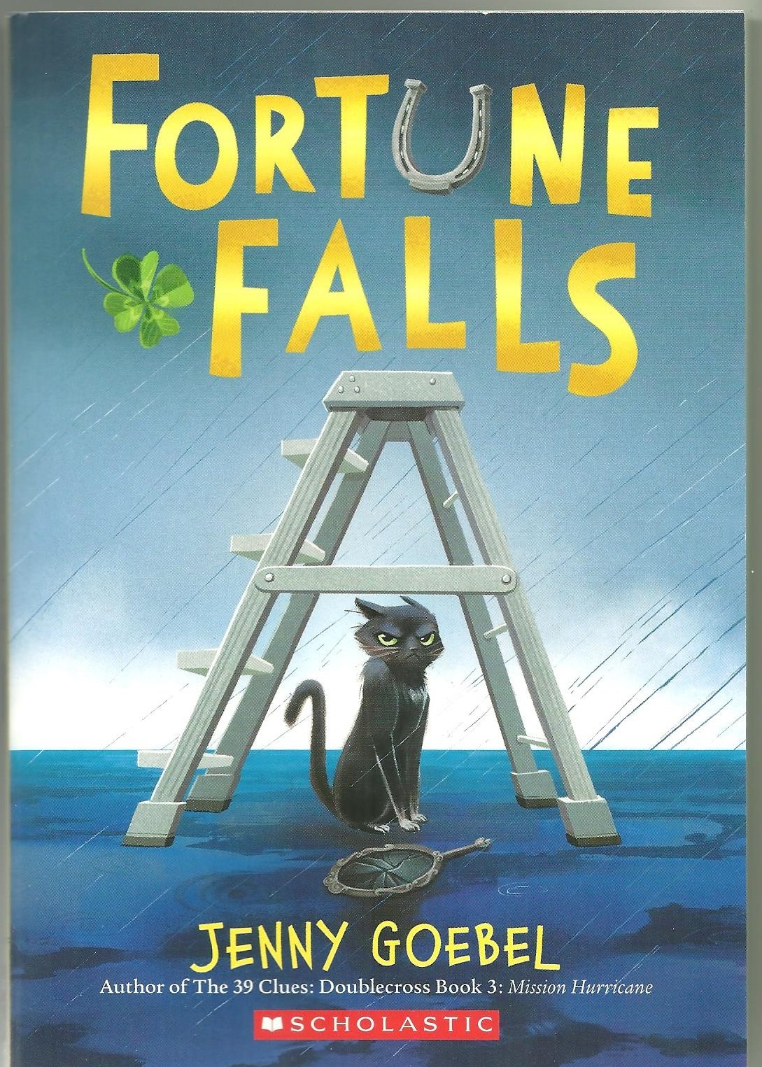 Cover of Fortune Falls
