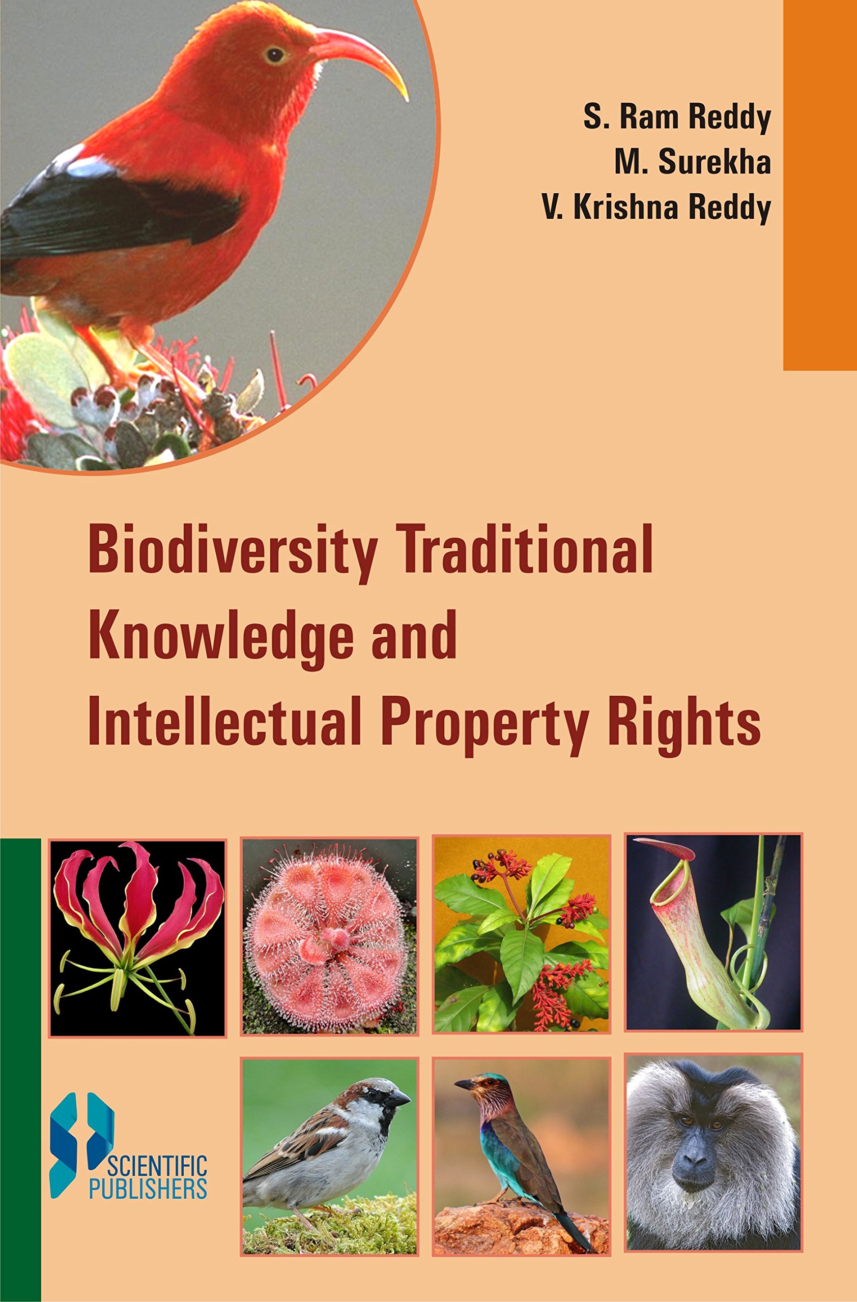 Buy Biodiversity Traditional Knowledge and Intellectual Property Rights [Hardcover] Reddy, S. Ram.; Surekha, M. and Reddy, V.K — BookShops.in