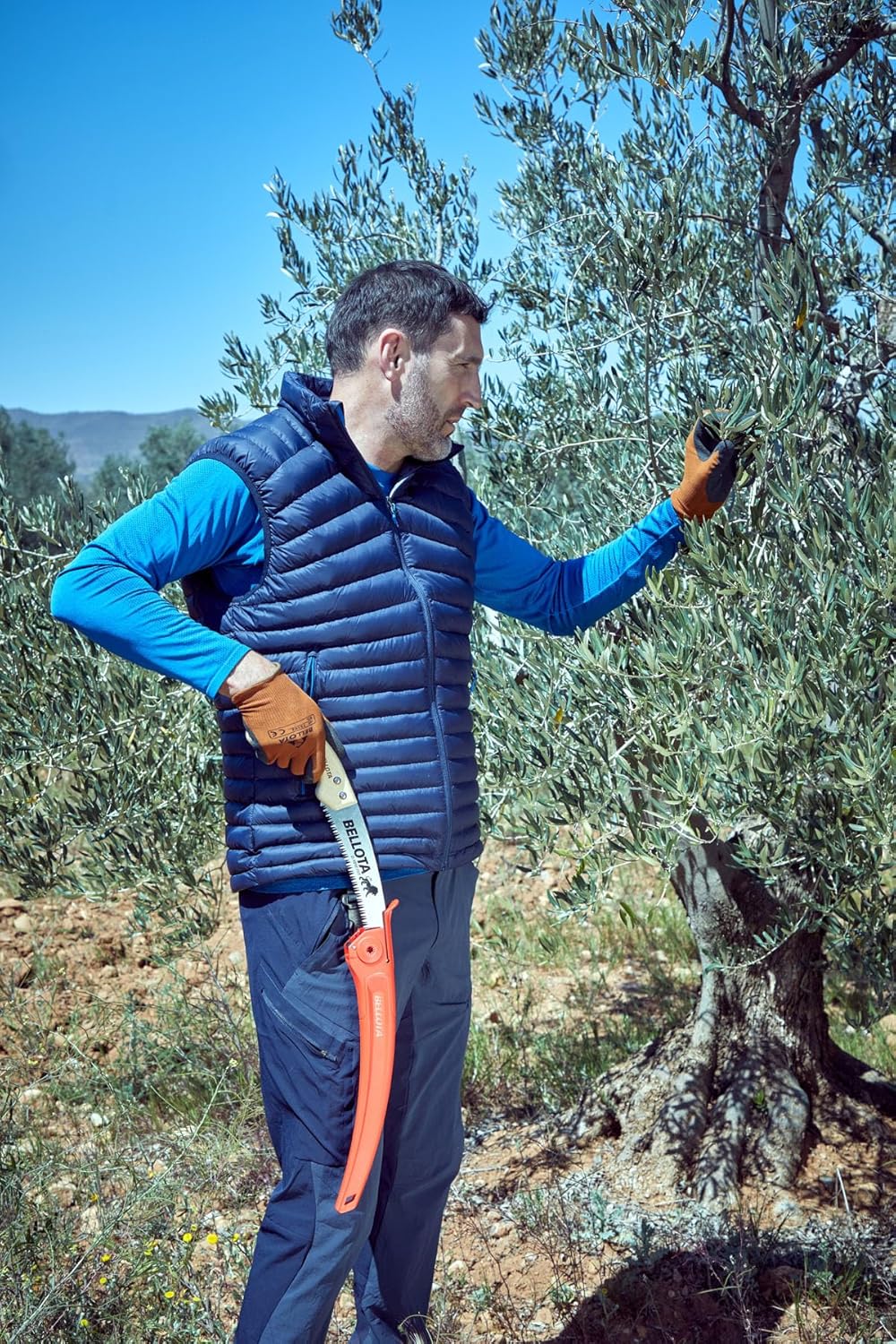 Bellota Leon 450MC11 Pruning Saw with 11" Curved Blade, Japanese Serrated and Curved Wood Handle - Includes Case