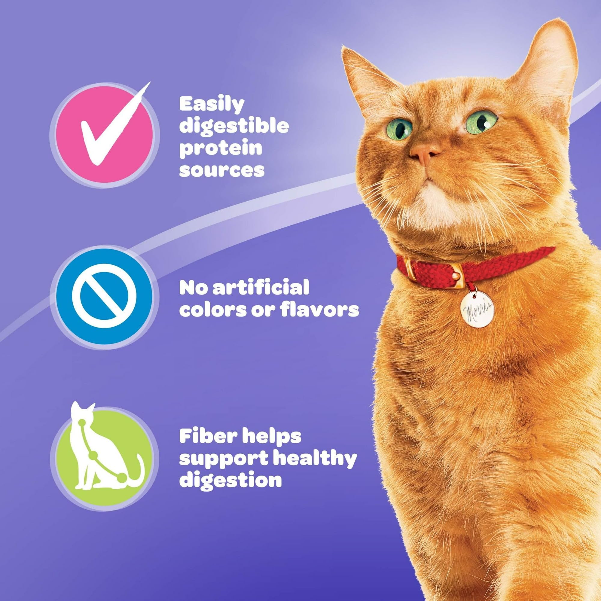 P L-RA Gentle Care Dry Cat Food, 15.5 Lb. Bag - Gentle Care Dry Food is A Specially Formulated Digestive Health with The Flavors of Chicken and Turkey and No Artificial Colors Or Flavors