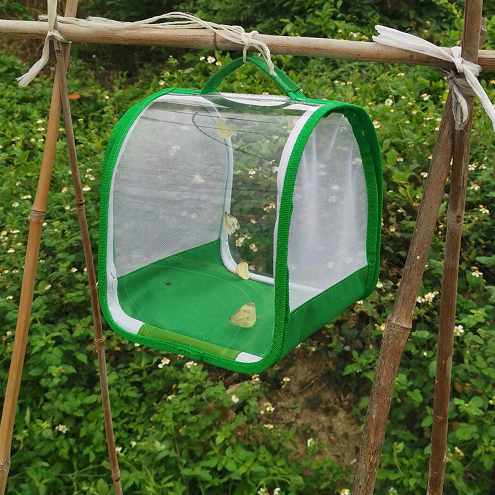 Set di allevamento di farfalle per bambini/adulti | Farfalla domestica | Insetto e Farfalla Habitat Gabbia di protezione per terrario | Allevamento cingolato dai 3 anni in su, verde
