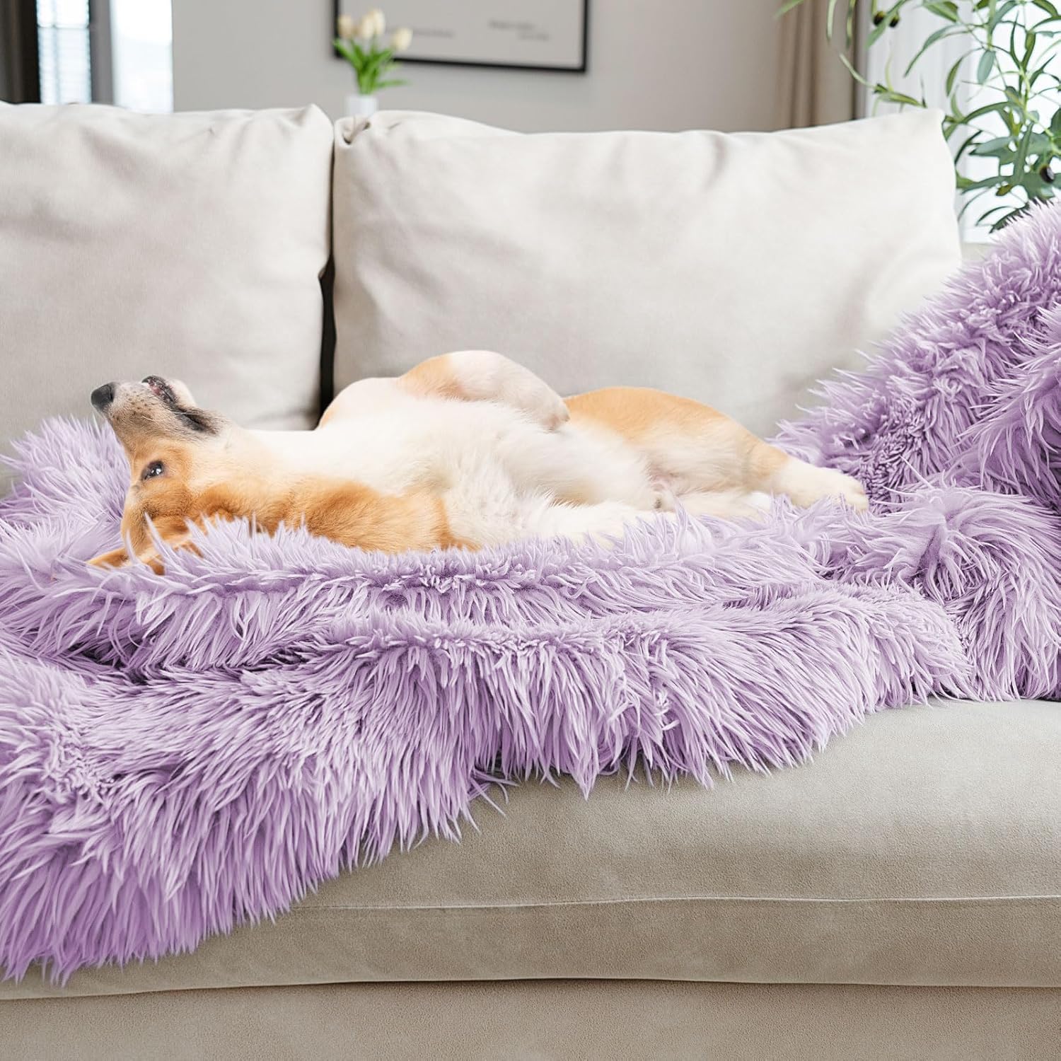 JONIYEAR Extra 2.8" Long Hair Fluffy Faux Fur Throw Blanket 50" x 60",Luxury Soft Decorative Fuzzy Furry Blankets for Couch, Cozy Plush Shaggy Blankets for Sofa Bed, Cute Lovely Blanket for Pet,Purple - Image 5