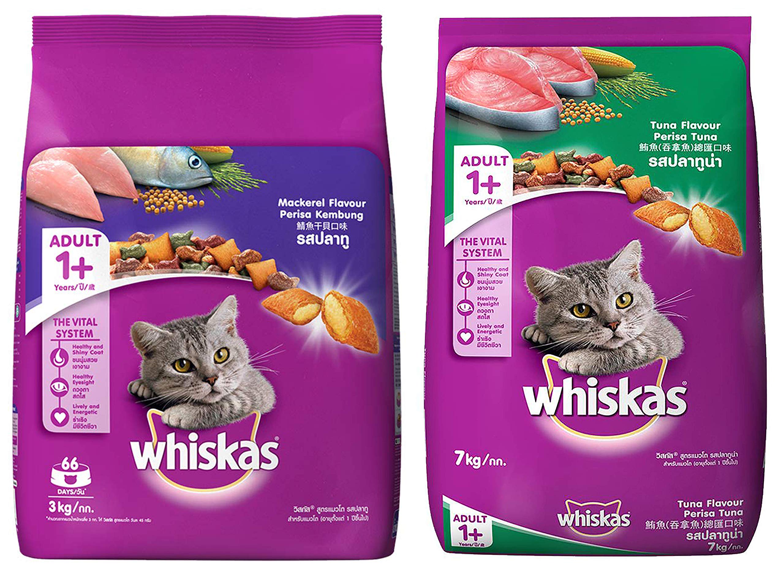 Buy Whiskas Adult (+1 Year) Dry Cat Food, Mackerel Flavour, 3Kg Pack