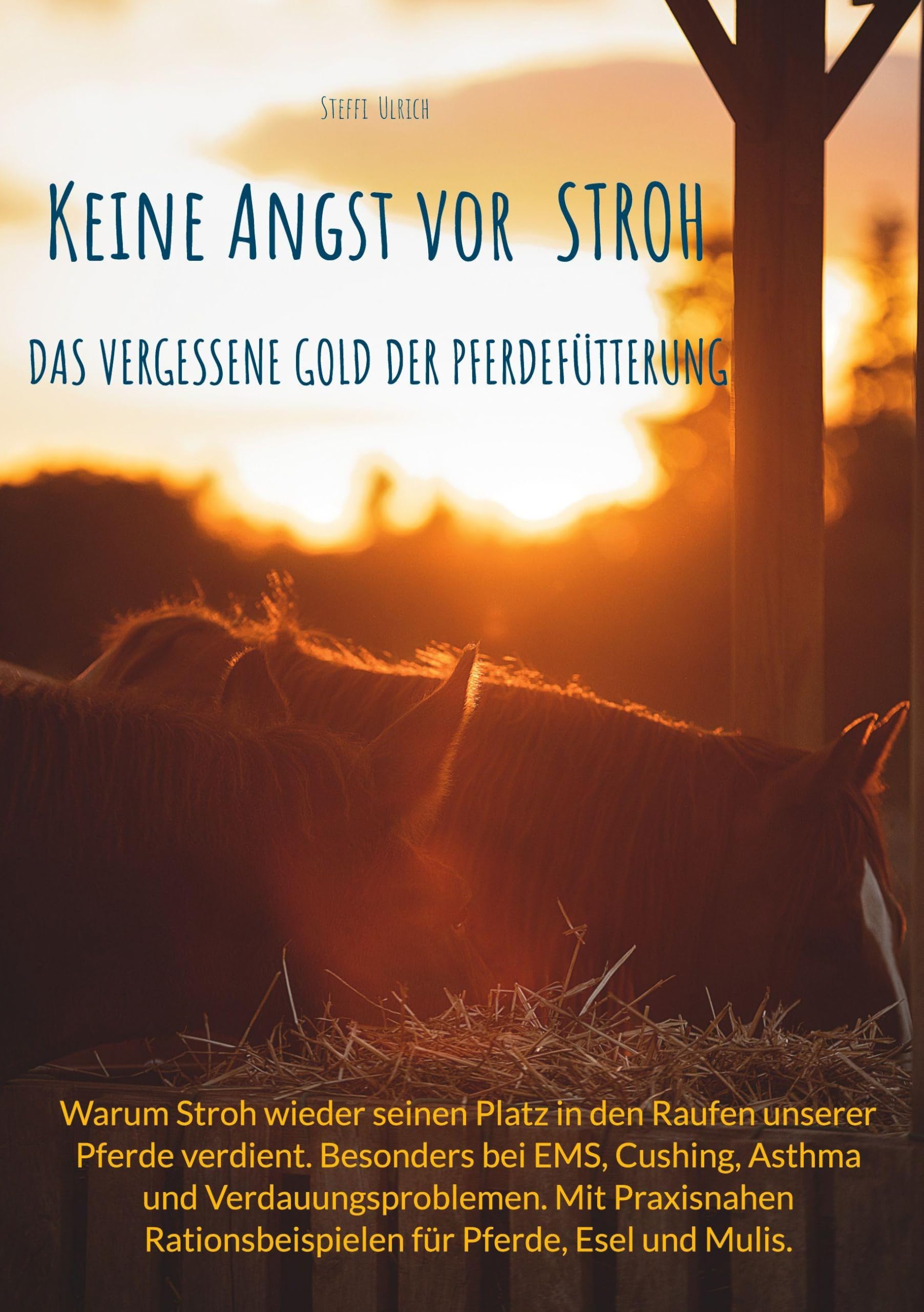 Keine Angst vor Stroh: Das vergessene Gold der Pferdefütterung