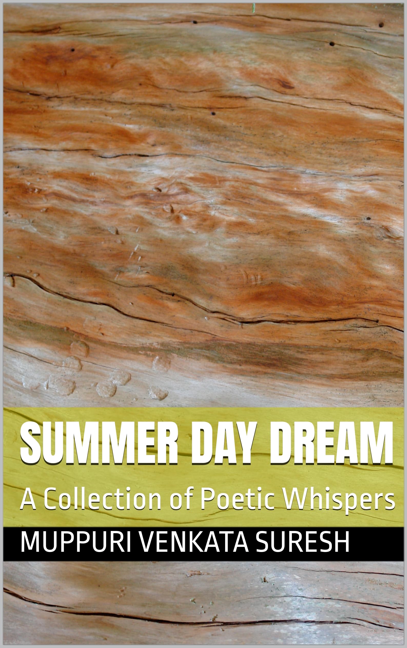 Summer Day Dream livre poésie anglophone lecture plage terrasse