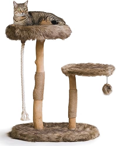 MAU - Moderna torre de árbol para gatos, rama natural, torre para gatos de madera de lujo, árbol rascador para gatos, condominio de gatos, regalo
