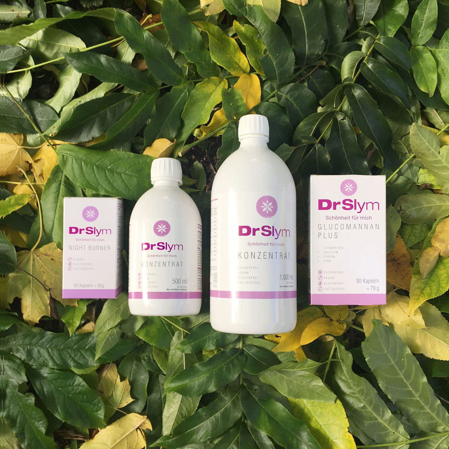 NIGHT BυRNER - mit Extrakten aus Melisse und Garcinia, Vitamin C und Chrom - 60 Kapseln. Herausragende Qualität. Bekannt aus deiner Apotheke, TV und HSE. Made in Germany.