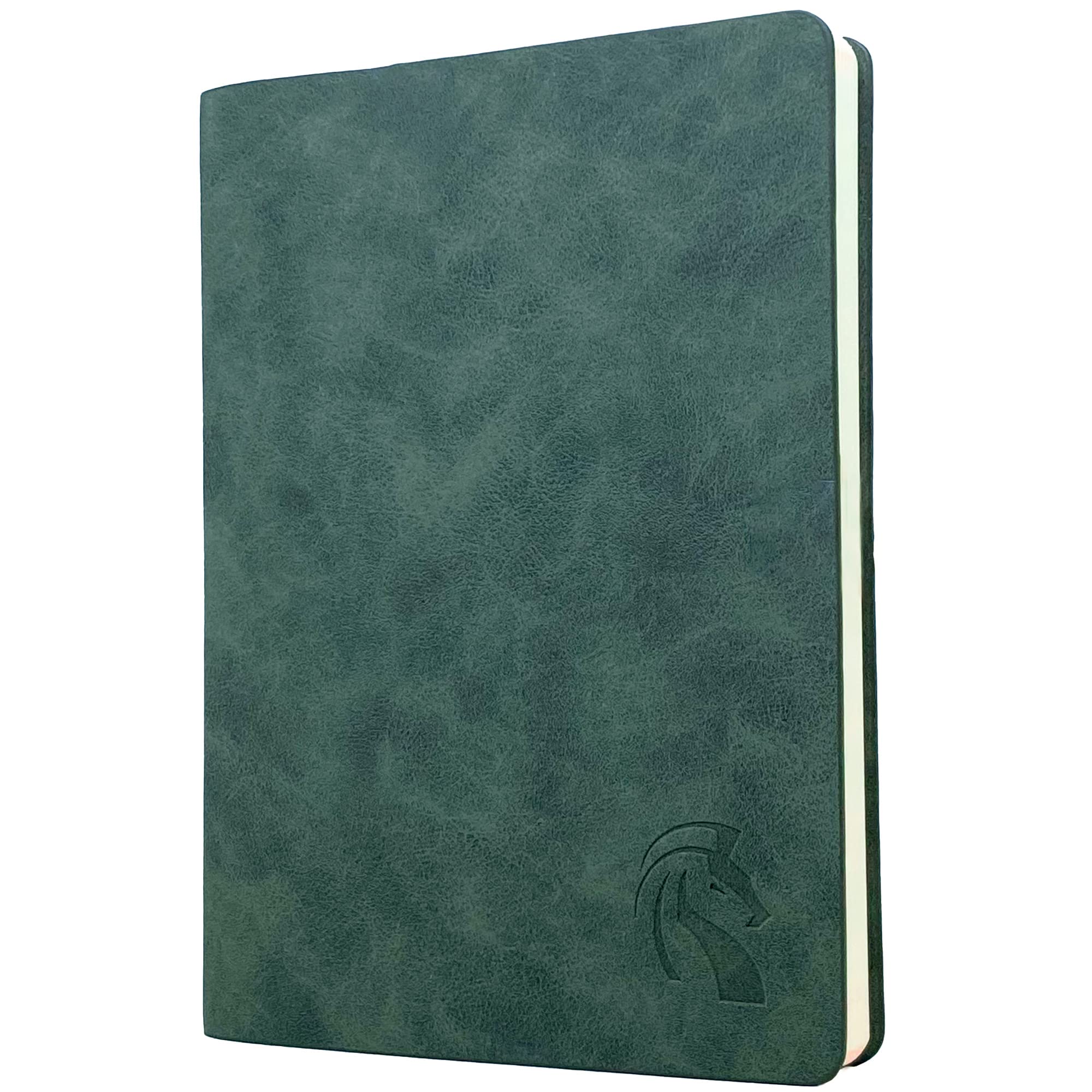 Amazon.com : LeStallion Nice Dark Green Notebook - 120GSM A5