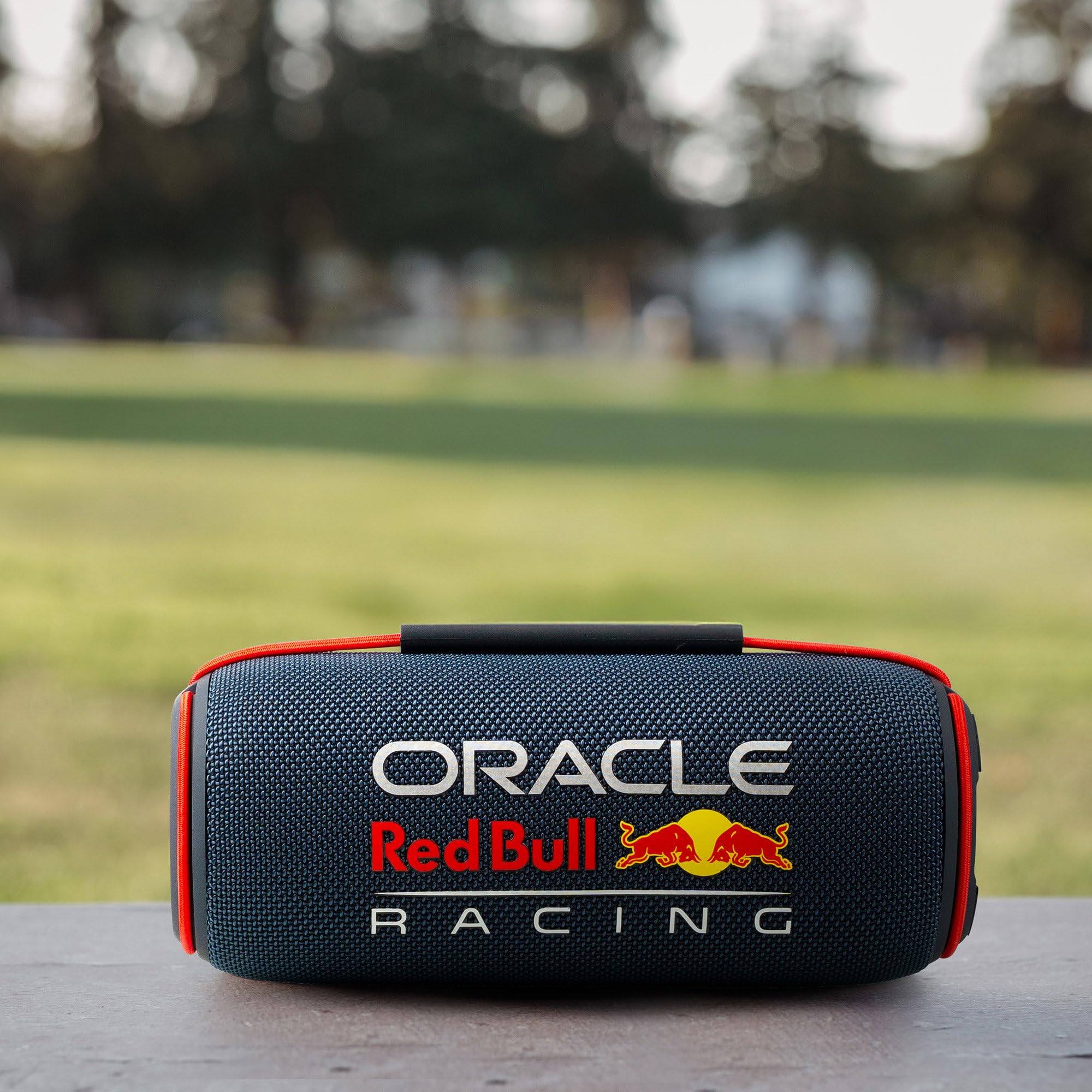 Oracle Red Bull Racing RB-SK420