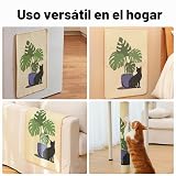 Ver la foto 7
