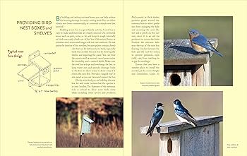 Amazon.com: Gardening For The Birds: How To Create A Bird-Friendly Amazon.com: Gardening For The Birds: How To Create A Bird-Friendly