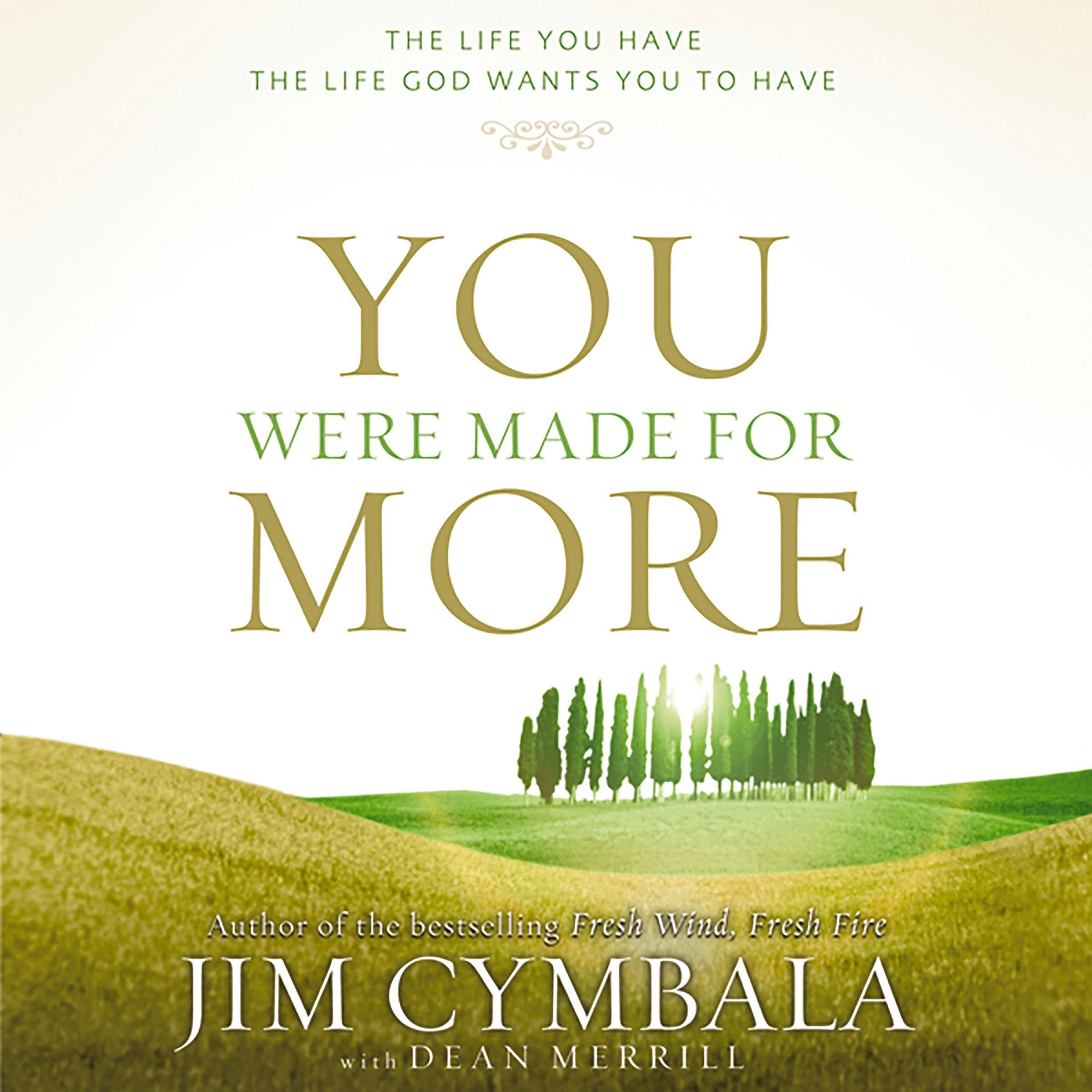 Cover art for You Were Made for More