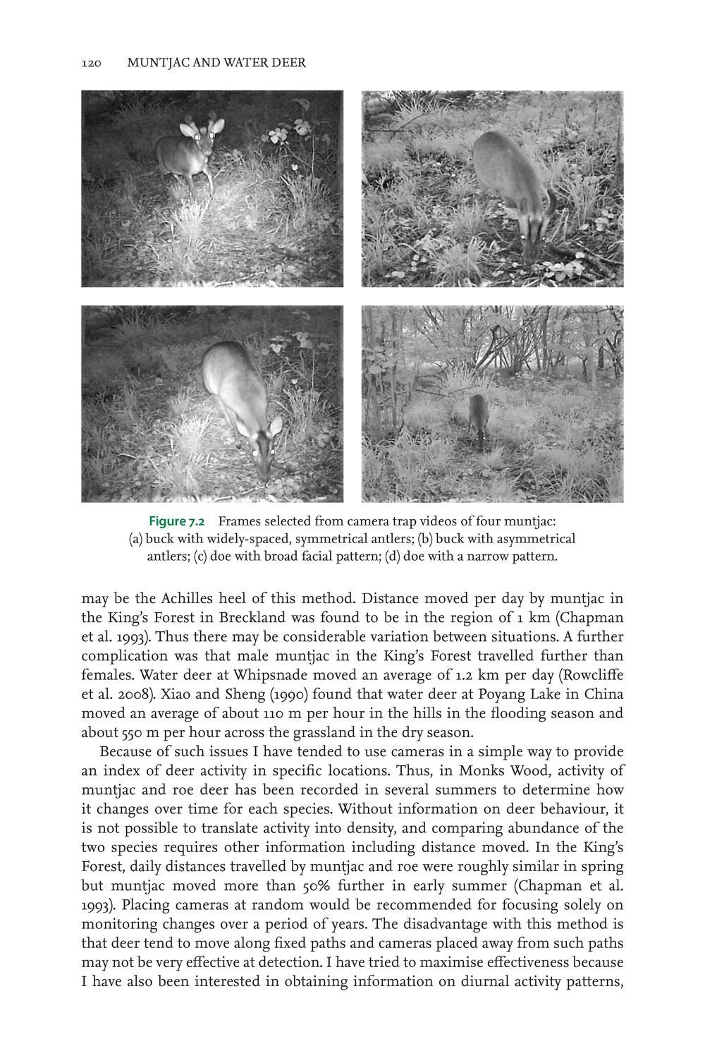 Muntjac and Water Deer: Natural History, Environmental Impact and Management (Pelagic Monographs)