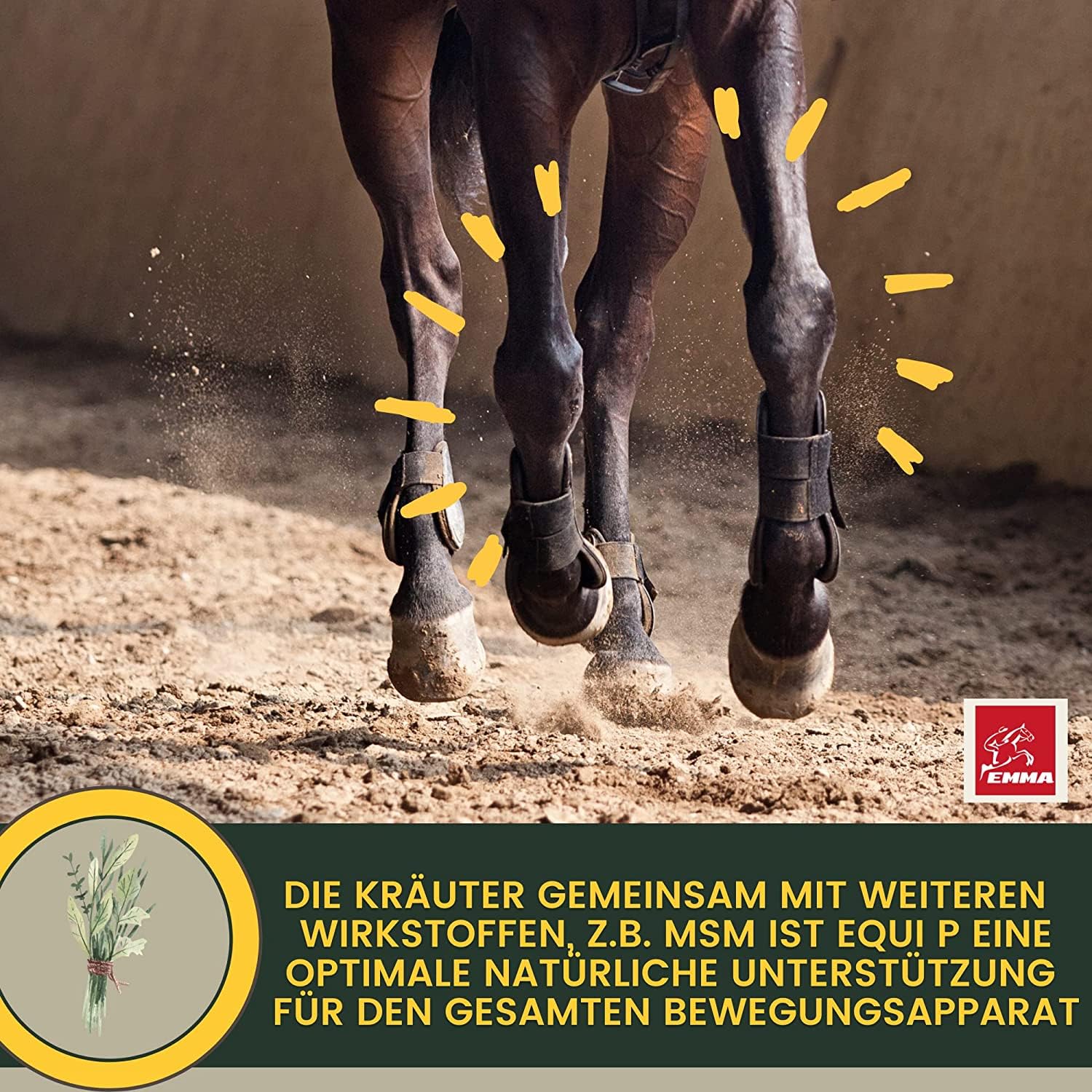 MSM Pferd Weidenrinde Pferd Equi P Booster Vitamin Paste für Gelenke Glucosamin Chondroitin MSM hochdosiert Vitamin C Bierhefe Bewegungsapparat Sehnen Bänder Knorpel Senioren Pferde 4 Stück