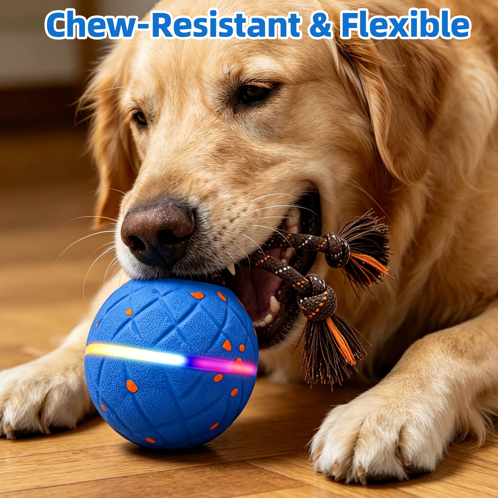 Interaktiver Hundeball - Wicked Ball Rolly mit Seil & Bellen, Intelligentes Interaktives Hundespielzeug mit 2 Spielmodi, E-TPU, USB-C aufladbar, RGB-Lichter, Geeignet für kleine bis große Hunde