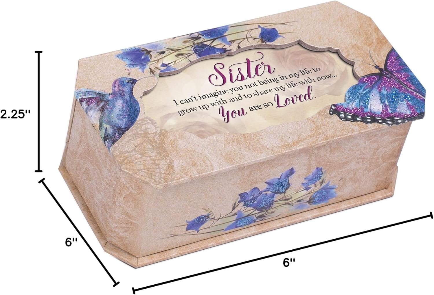 Cottage Garden Sister You are Loved Butterfly and Bird Glitter Musical Box Plays Tune Light Up My Life