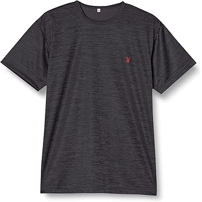 [アツギ] アンダーシャツ [PLAYBOY（プレイボーイ）] 速乾性に 半袖 丸首Tシャツ DRY （表カチオン裏メッシュ） M10018 メンズ L Reg …