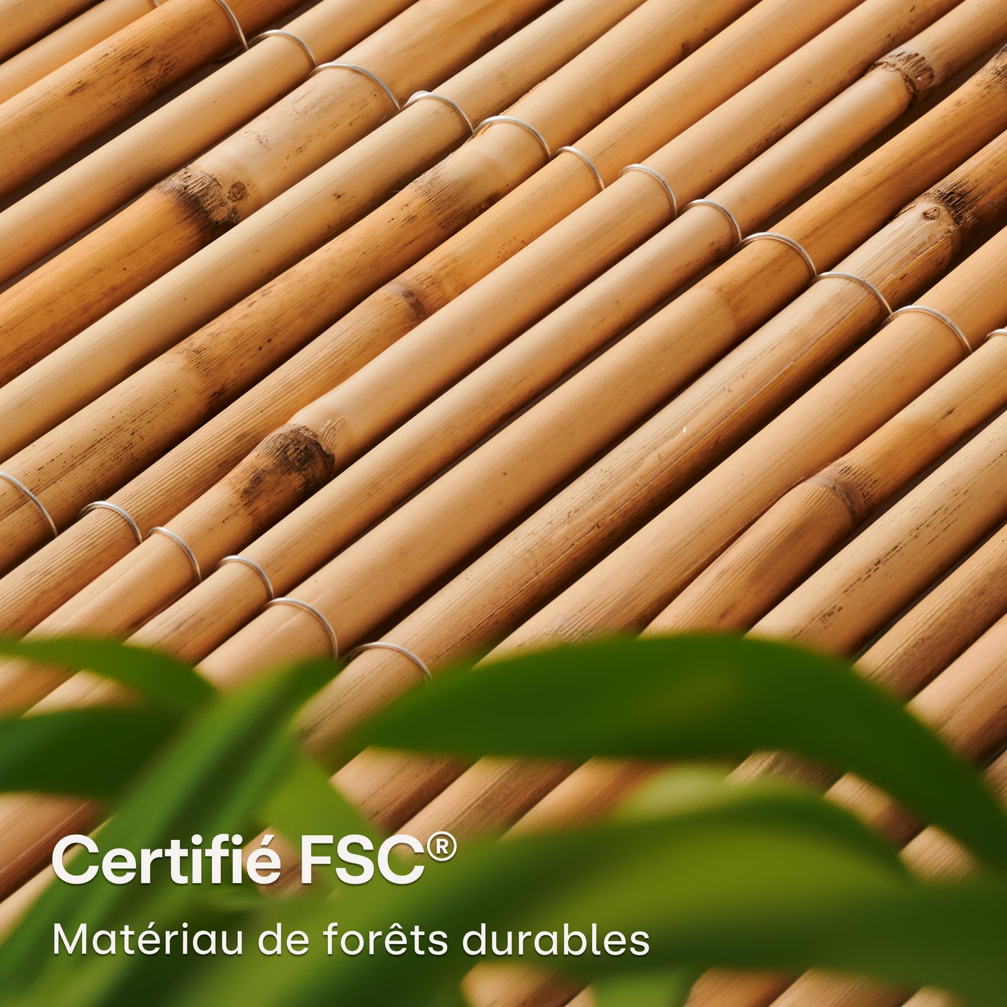 Canisse Roseau Naturel 1m x 3m FSC Certifié 100x300cm pour Balcon Jardin